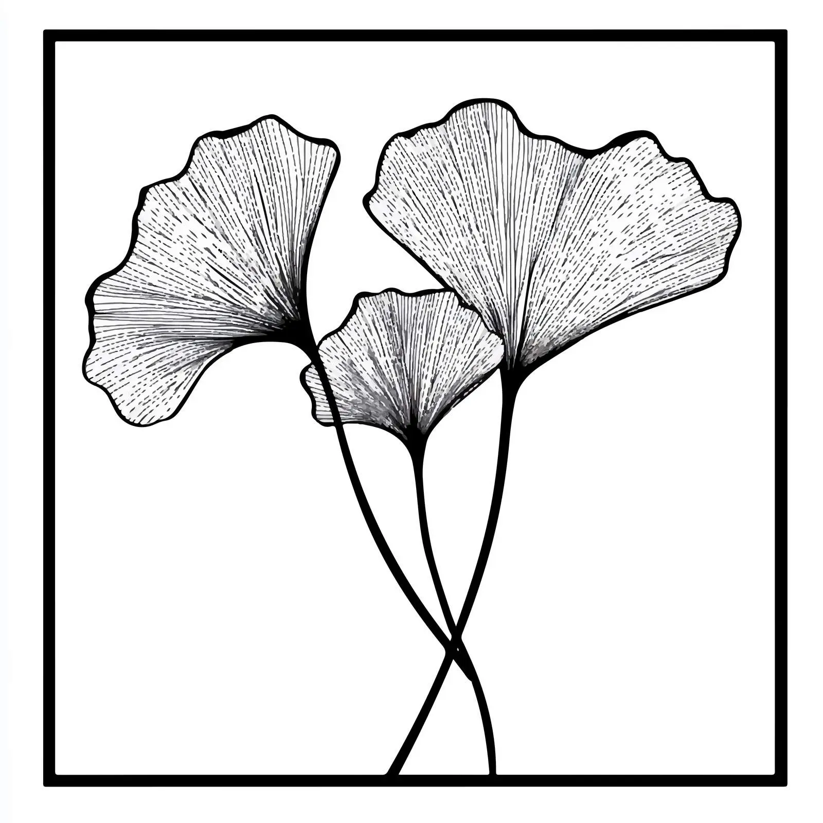 Ginkgo Biloba Black Vector Silhouette — free download from Dotvec