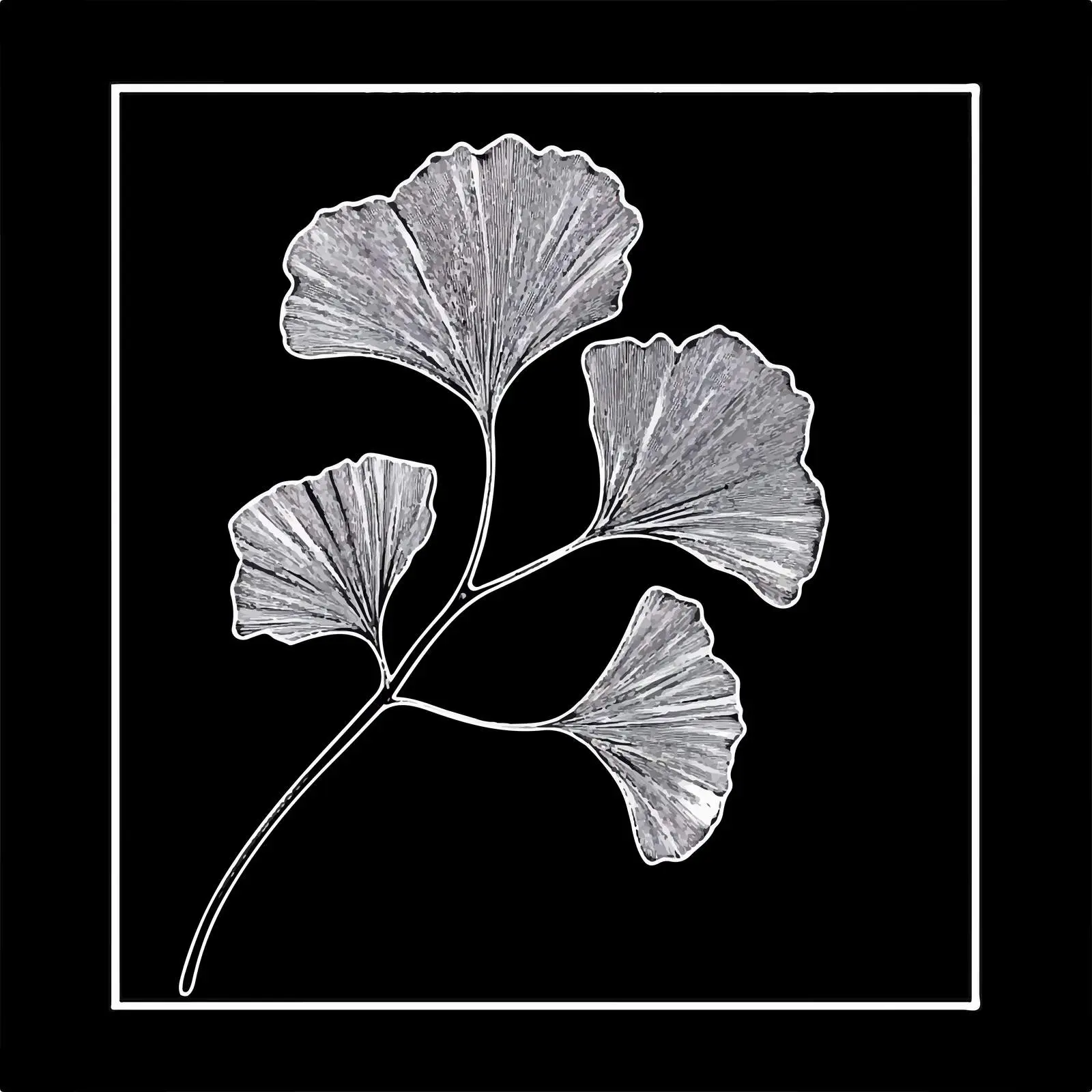 Ginkgo Biloba Vector Silhouette — free download from Dotvec