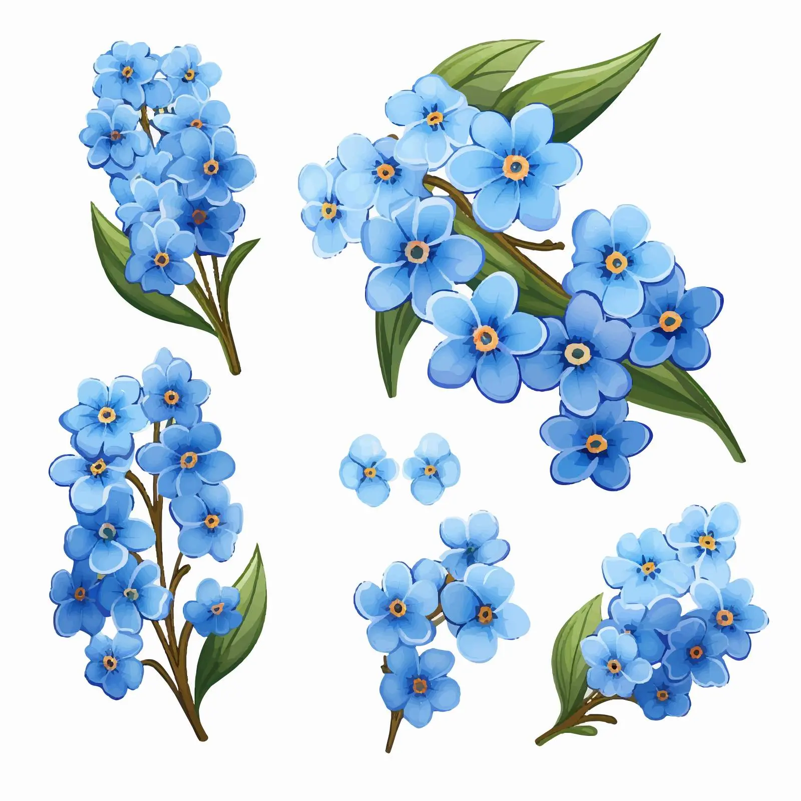 Blue Myosotis Flower Clip Art on White Background — free download from Dotvec