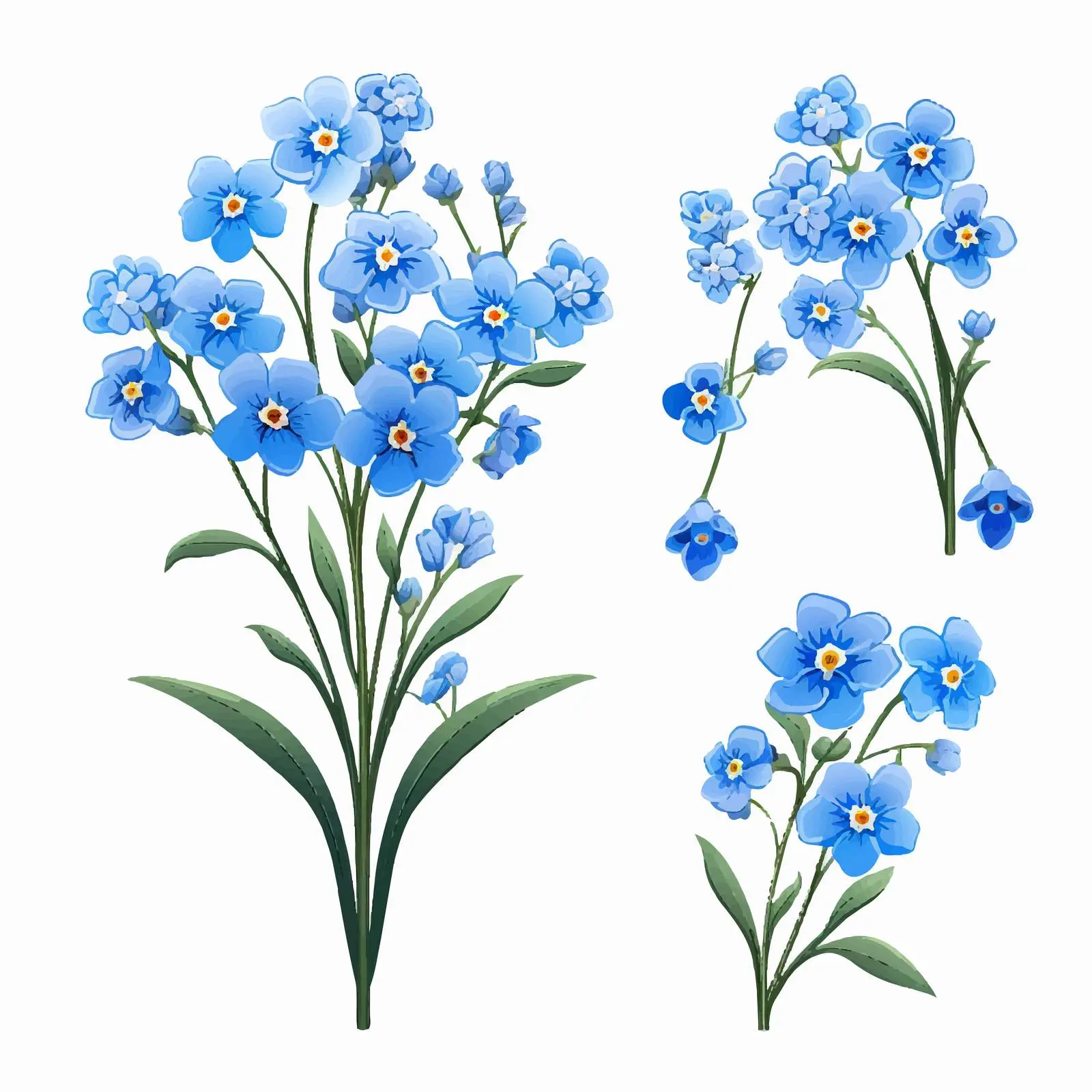 Blue Myosotis Flowers Decorative Vector Elements – free design vector image from Dotvec