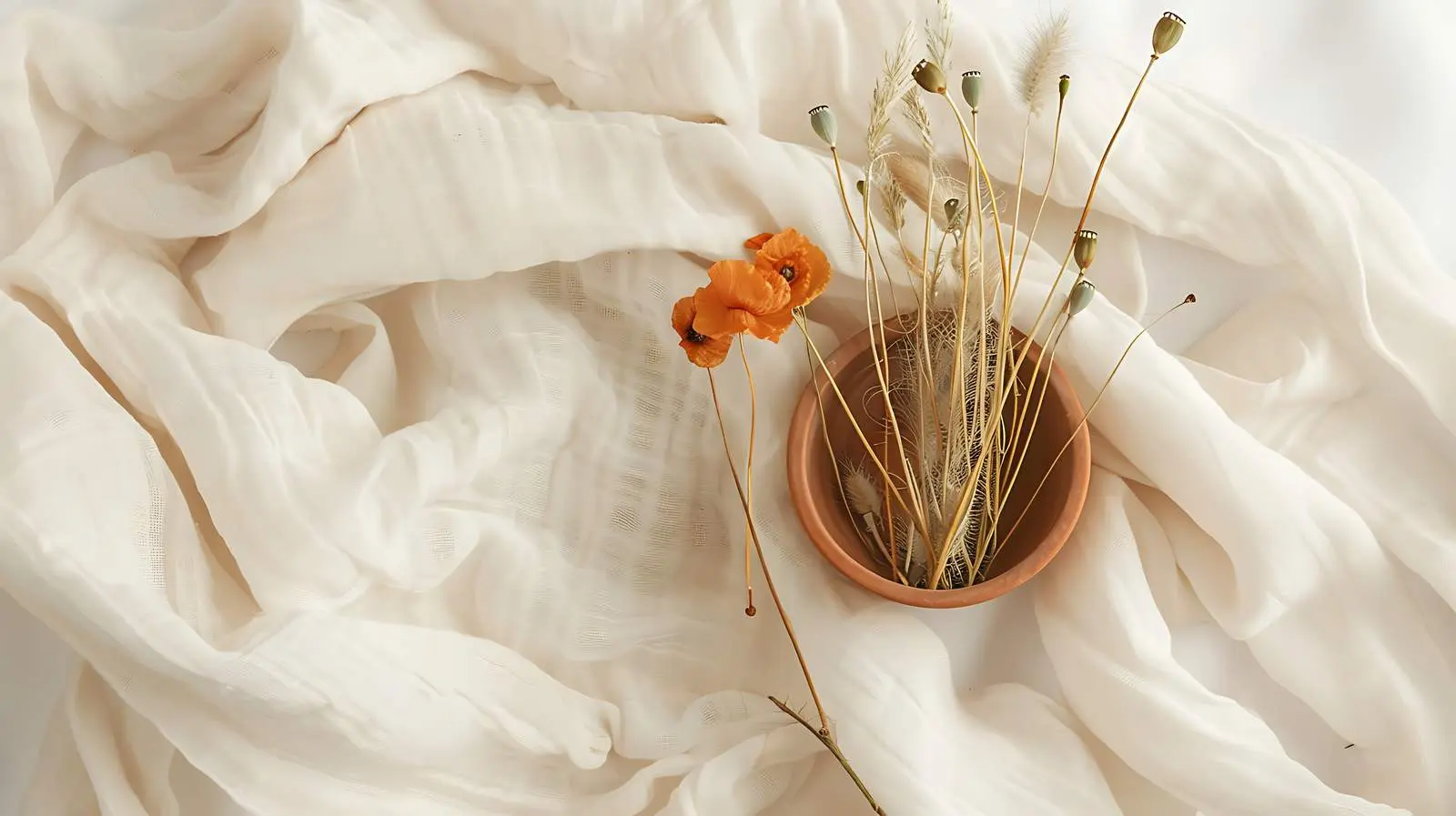 Dried Grass and Poppy Stems in Beige Pot — free download from Dotvec