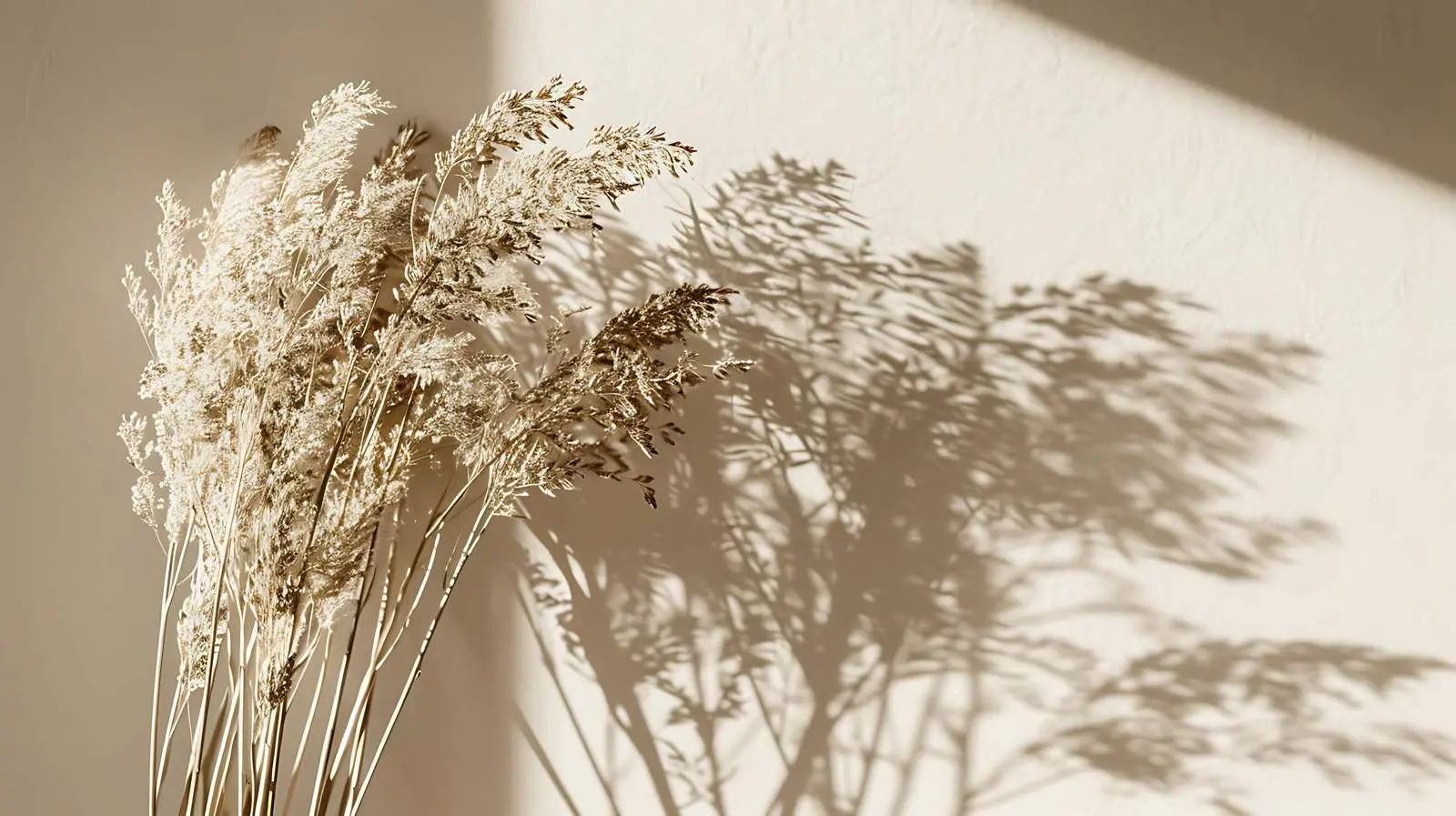Dried Grass Bouquet in Sunlight Shadows – free zen image from Dotvec