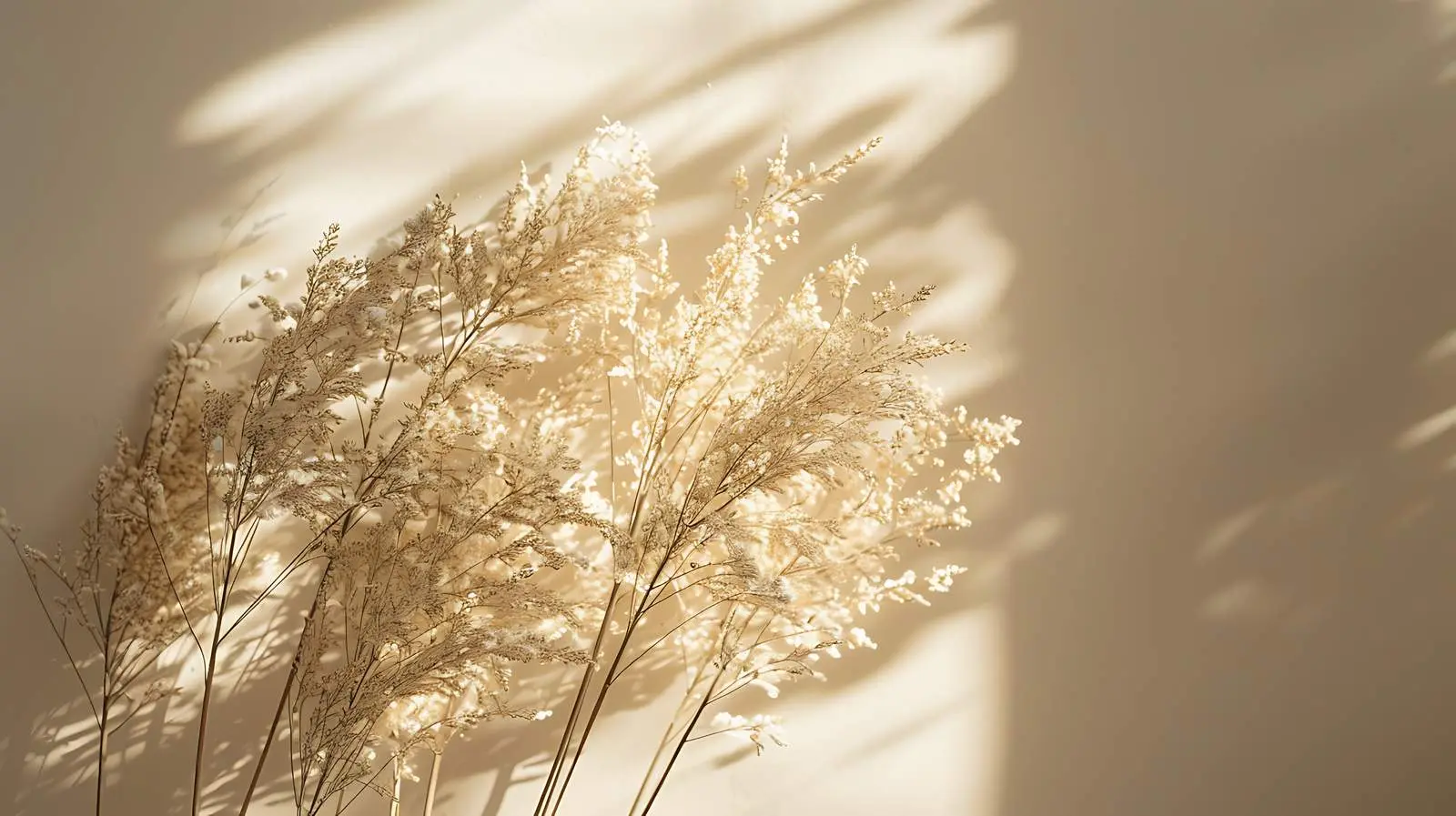 Dried Grass Bouquet in Sunlight Shadows – free object image from Dotvec