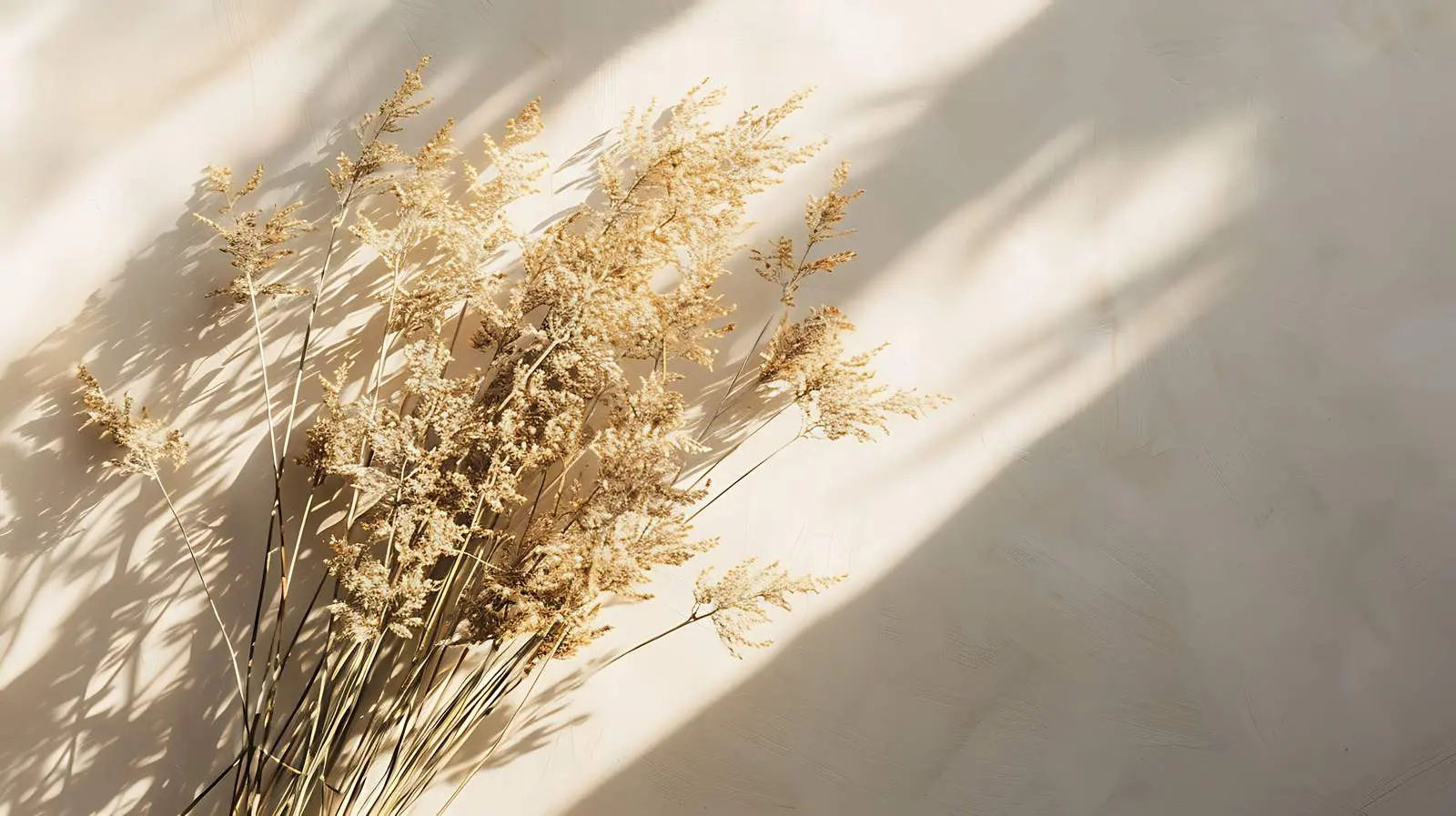 Dried Grass Bouquet in Sunlight Shadows — free download from Dotvec