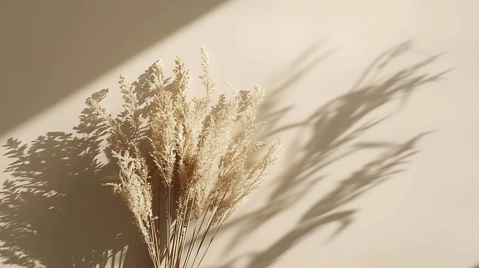 Dried Grass Bouquet in Sunlit Shadows — free download from Dotvec
