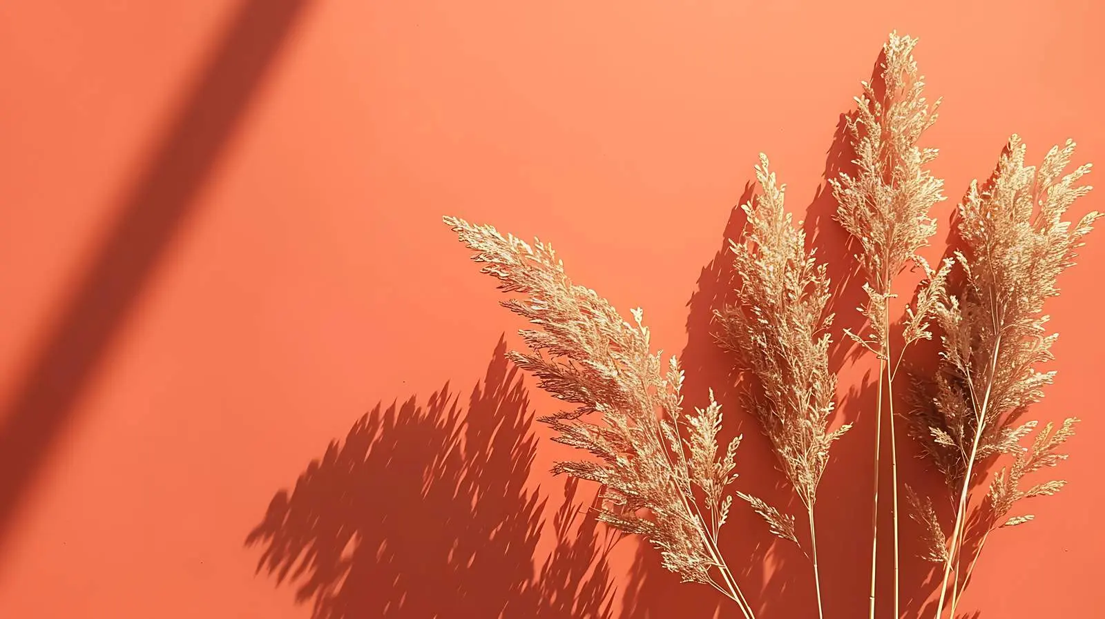 Dried Grass Stalks on Crimson Background — free download from Dotvec