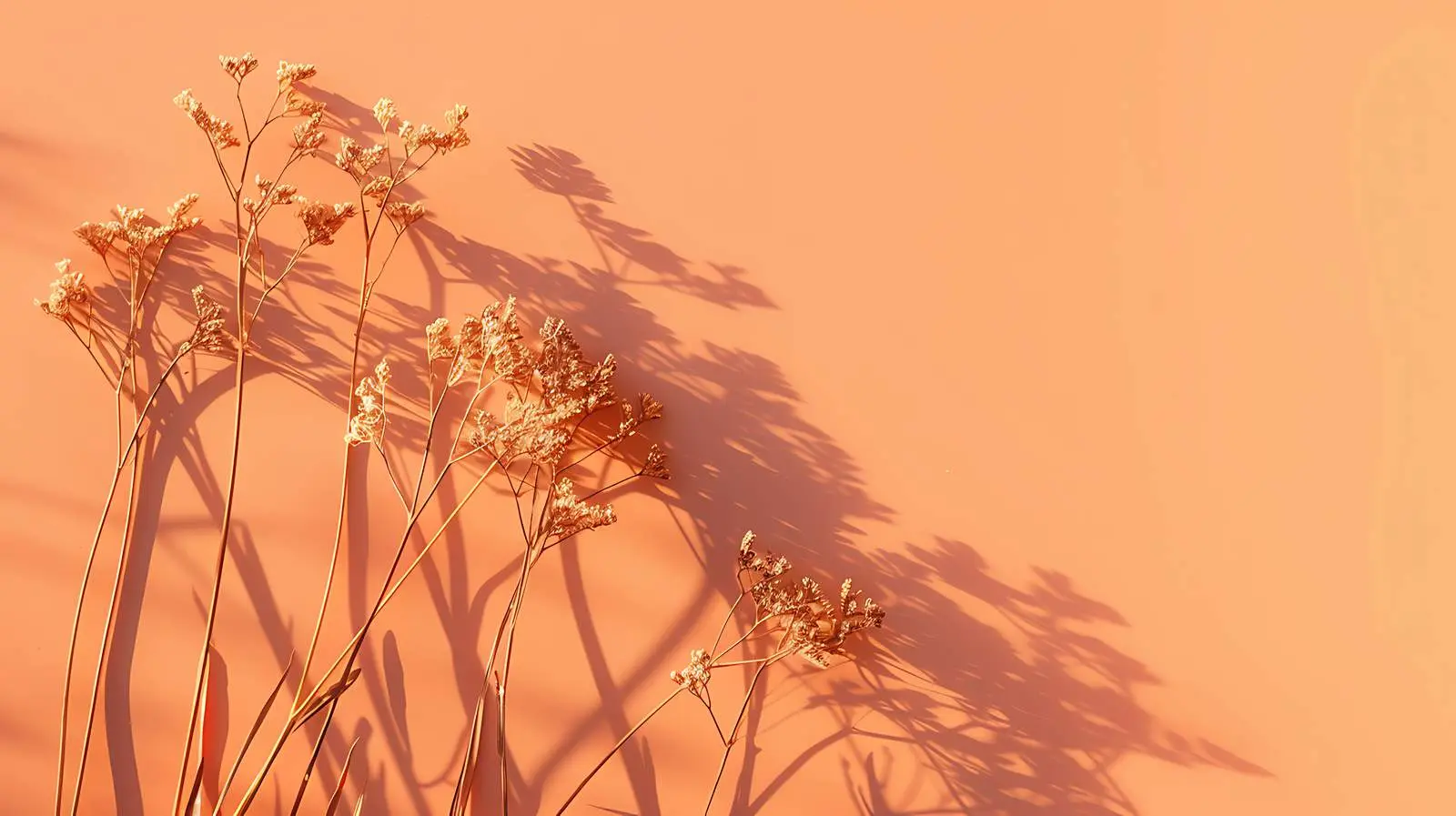Dried Grass Stalks on Crimson Background – free hang image from Dotvec