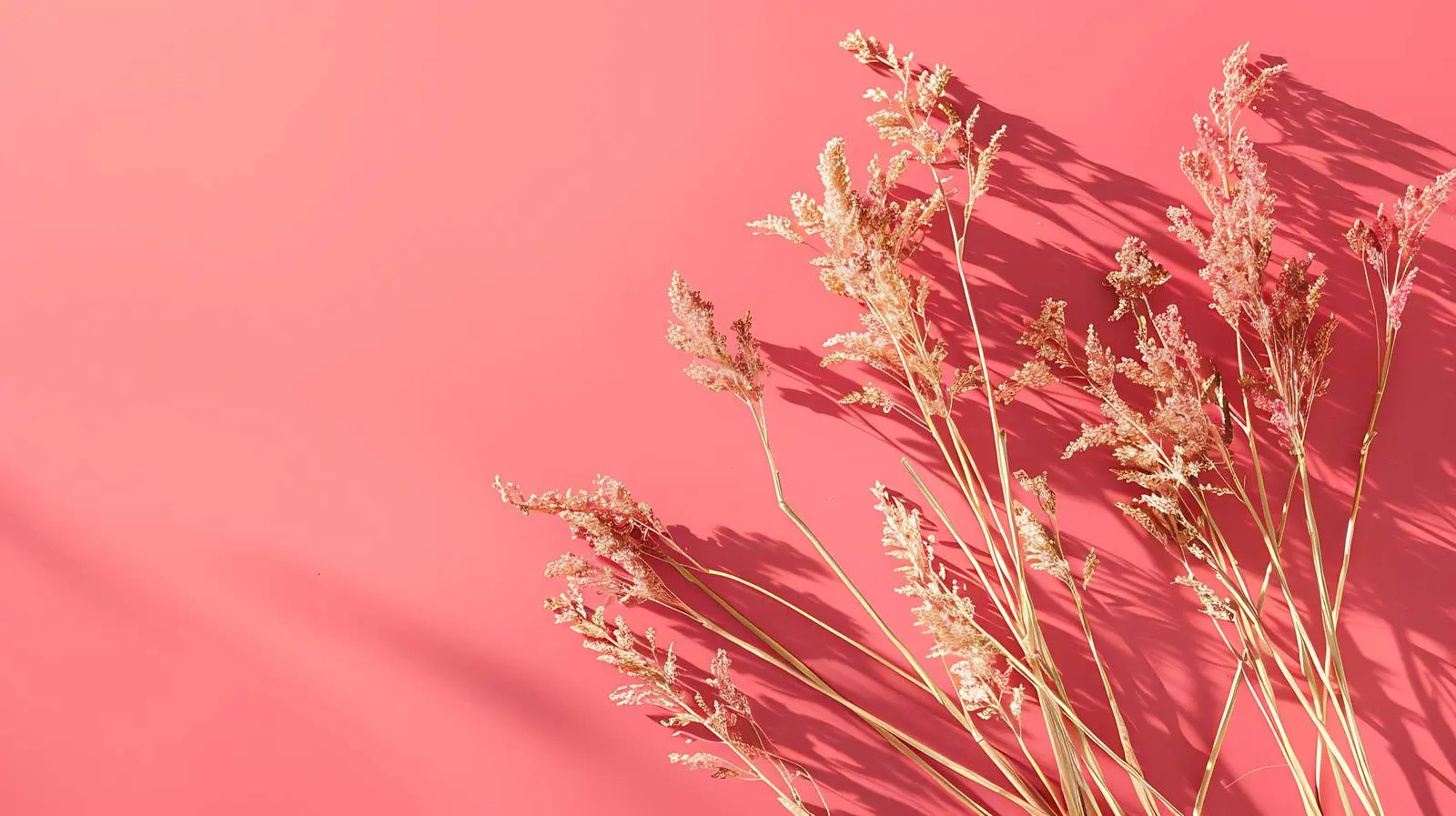 Dried Grass Stalks on Crimson Background – free row image from Dotvec