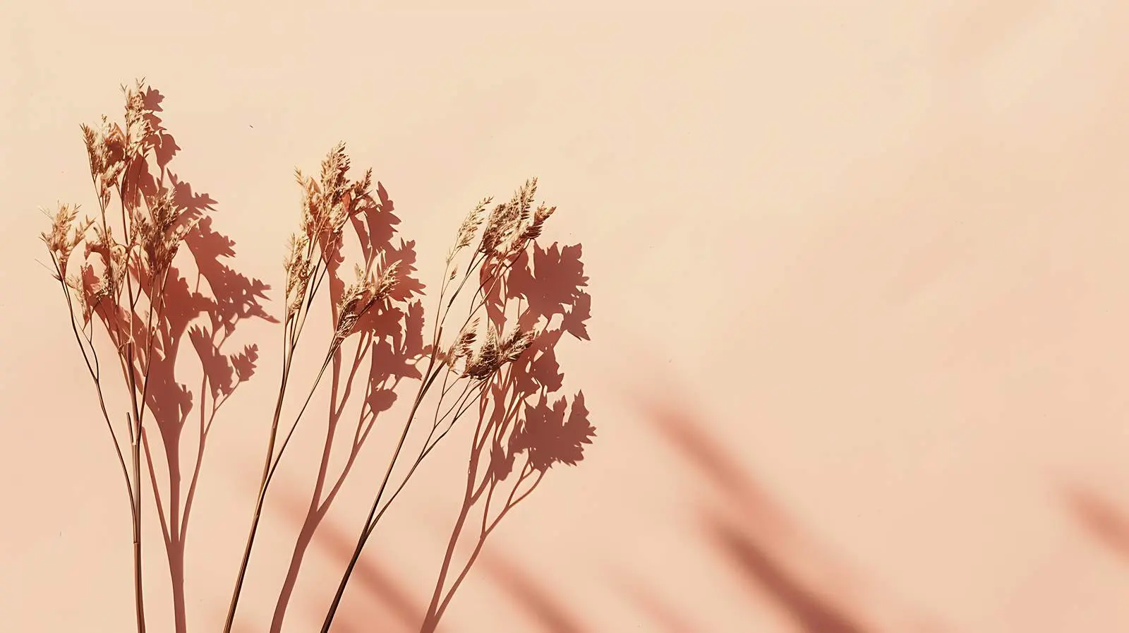 Dried Grass Stalks on Crimson Background — free download from Dotvec