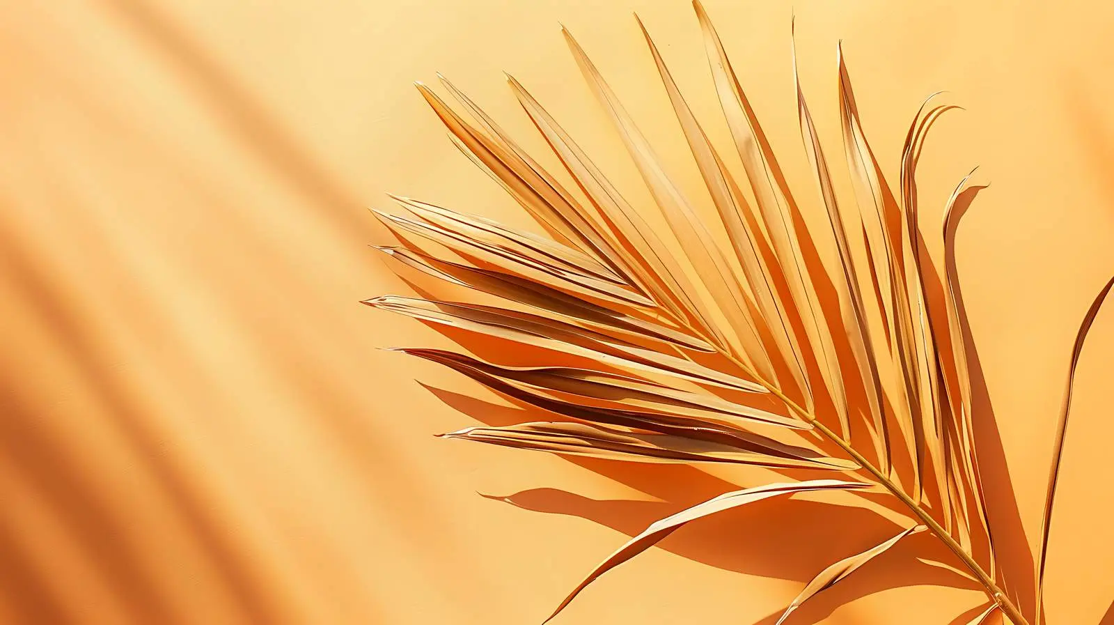 Dried Palm Leaf Stem with Sunlight Shadows – free resilient image from Dotvec