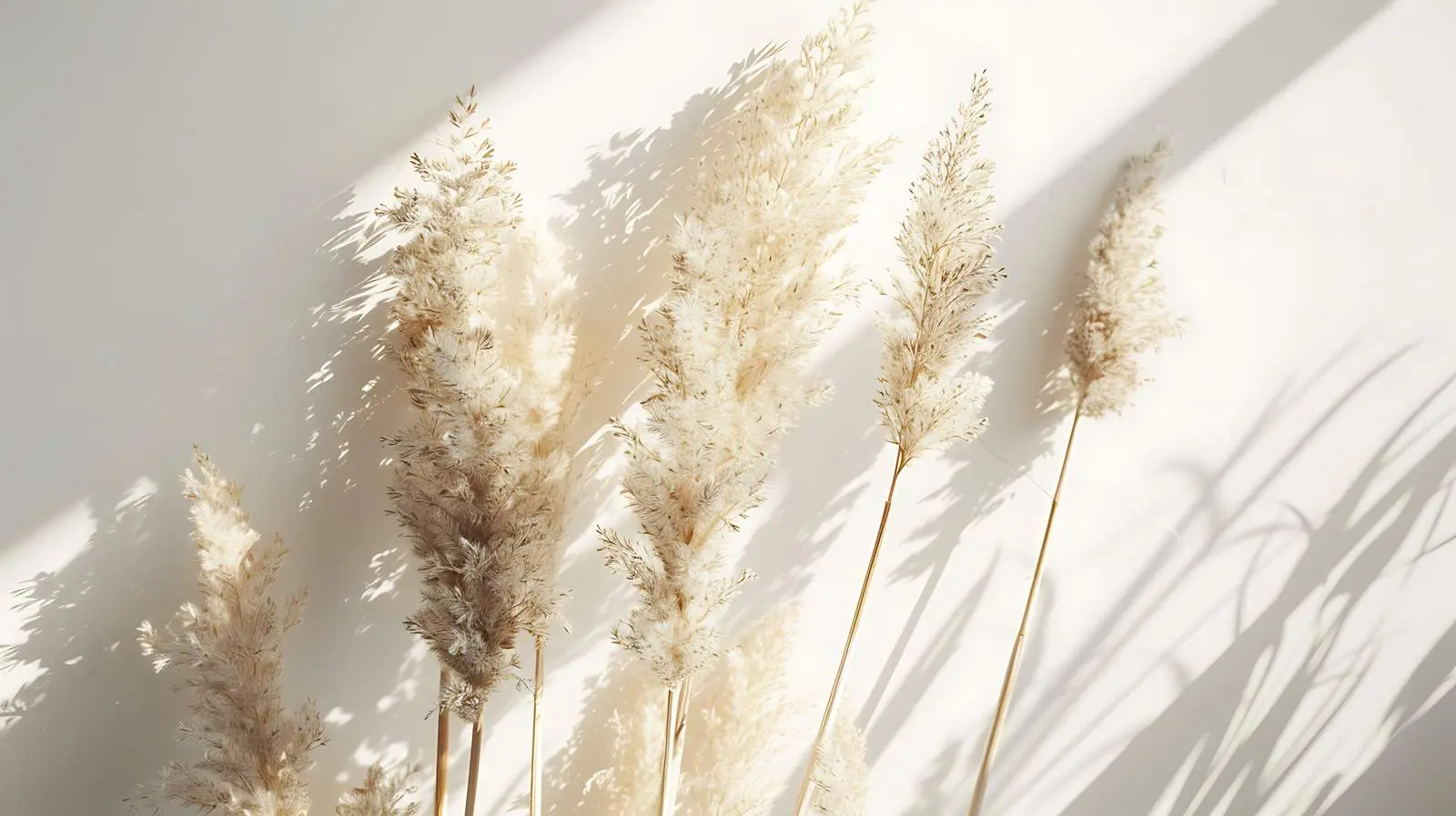 Dried Pampas Grass Bouquet in Sunlight – free autumn vibes image from Dotvec