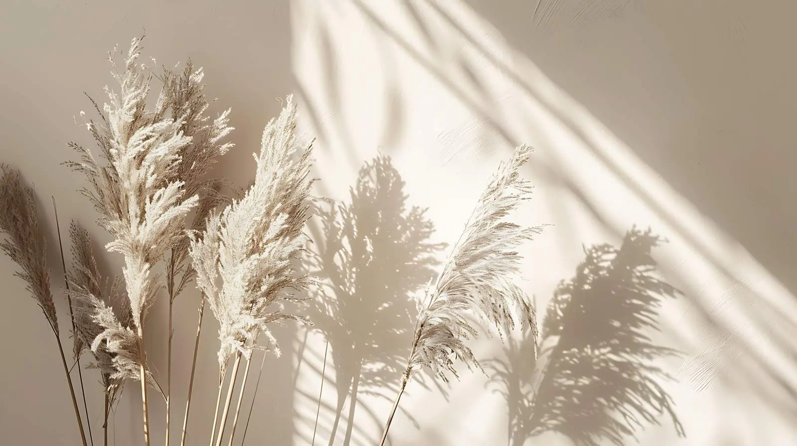 Dried Pampas Grass Bouquet in Sunlight – free textural contrast image from Dotvec