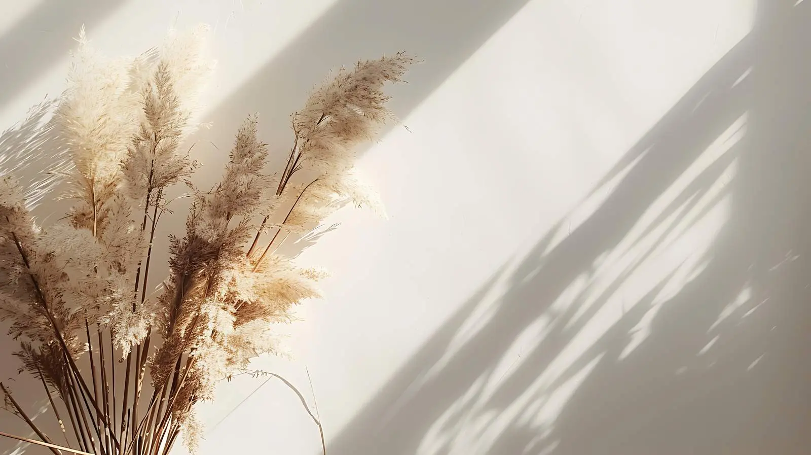 Dried Pampas Grass Bouquet in Sunlight – free home aesthetics image from Dotvec