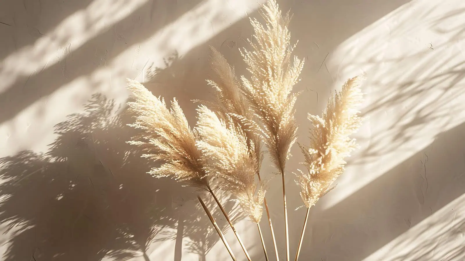 Elegant Dried Pampas Grass Bouquet on Dark Background — free download from Dotvec