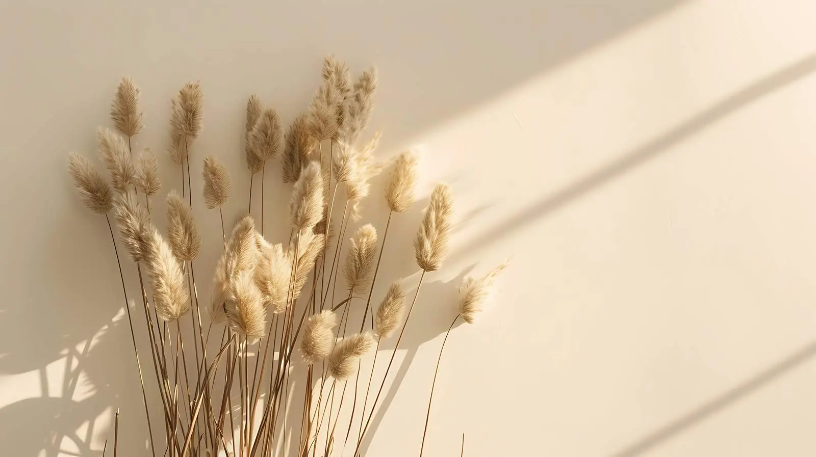 Dried Rabbit Tail Grass Stalks on Tan Background – free expression image from Dotvec