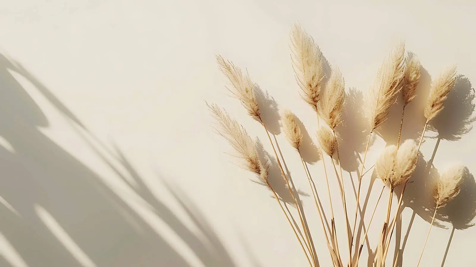 Dried Rabbit Tail Grass Stalks on Tan Background — free download from Dotvec