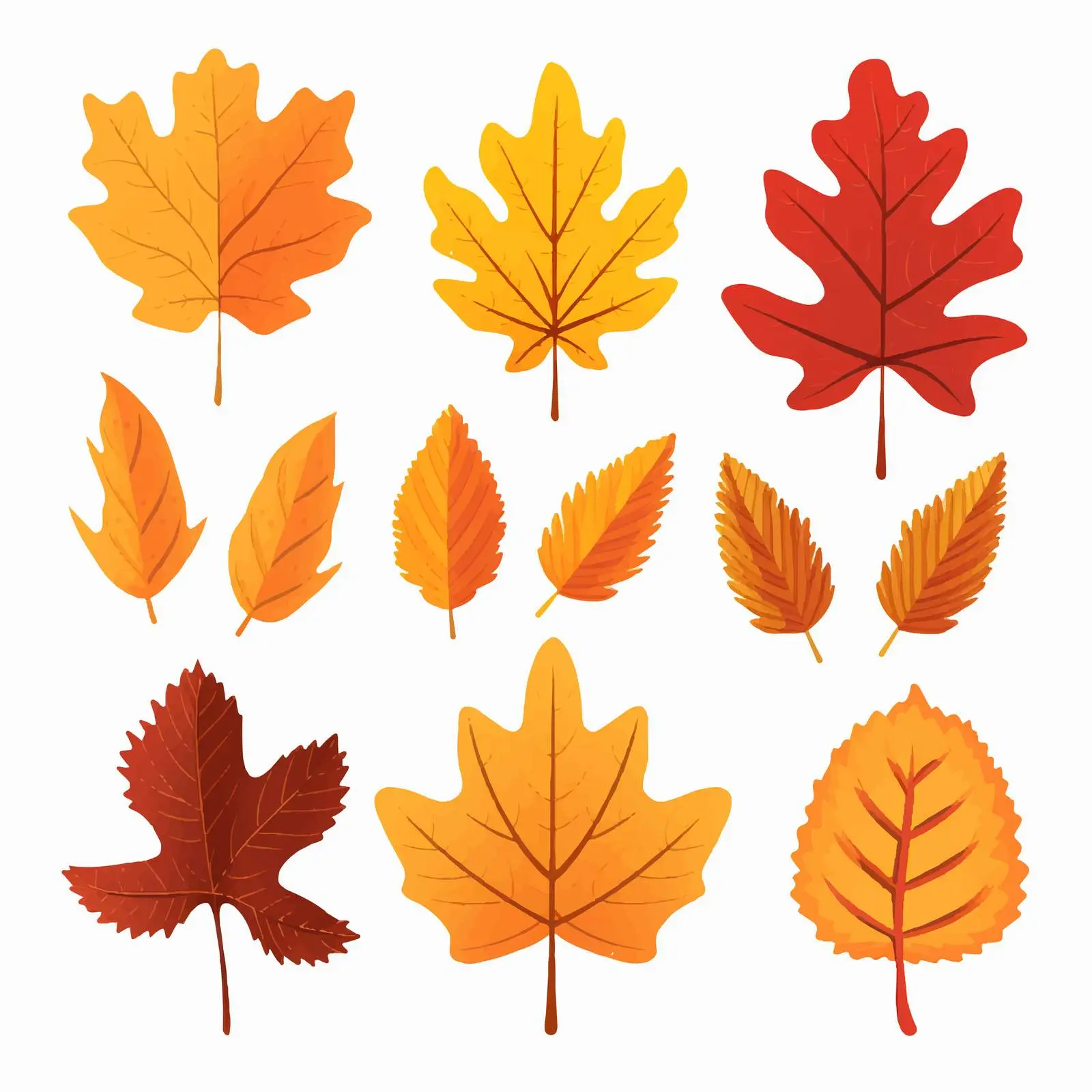 Autumn Leaves of Oak, Ash, and Birch Trees — free download from Dotvec
