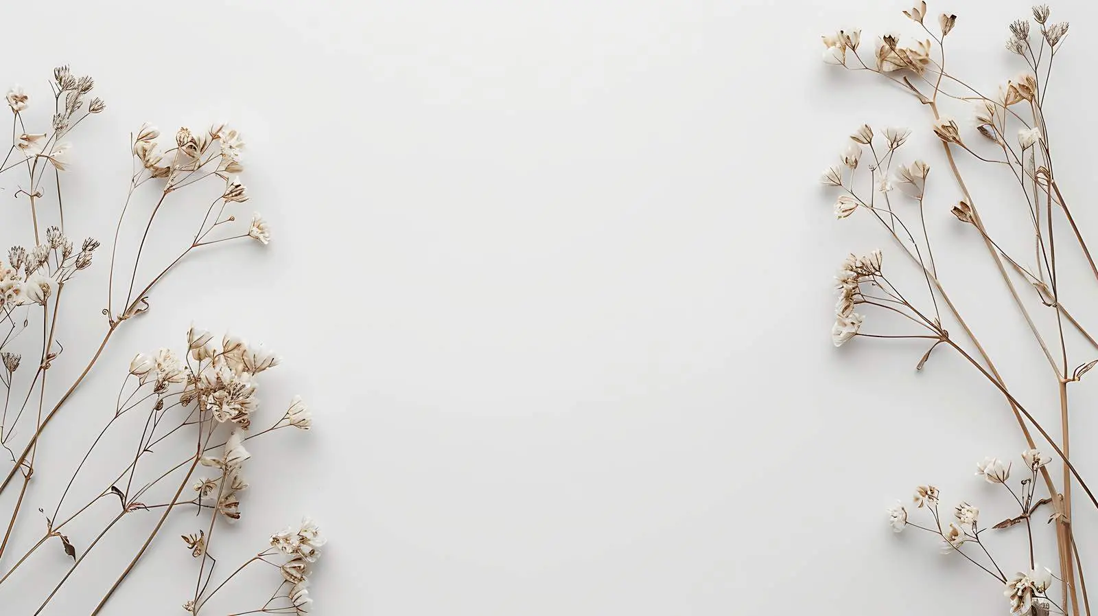 Dry Flowers on Dusty Grey Background Flat Lay – free grey image from Dotvec