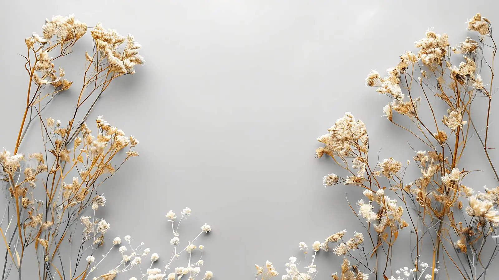 Dry Flowers on Grey Background - Flat Lay View – free grey image from Dotvec