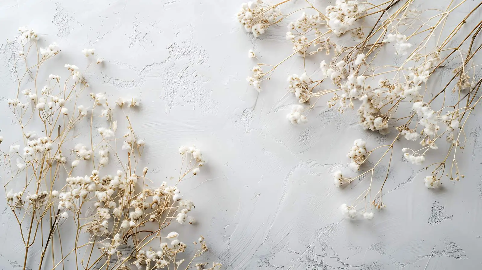 Dry Flowers on Dusty Grey Background — free download from Dotvec