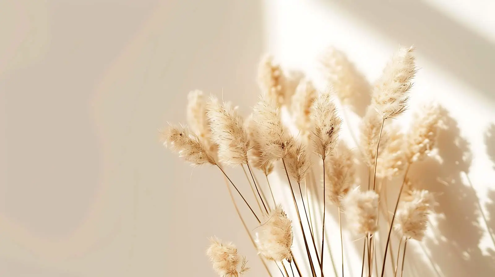 Fluffy Bunny Tail with Grass on Tan Background – free animal image from Dotvec