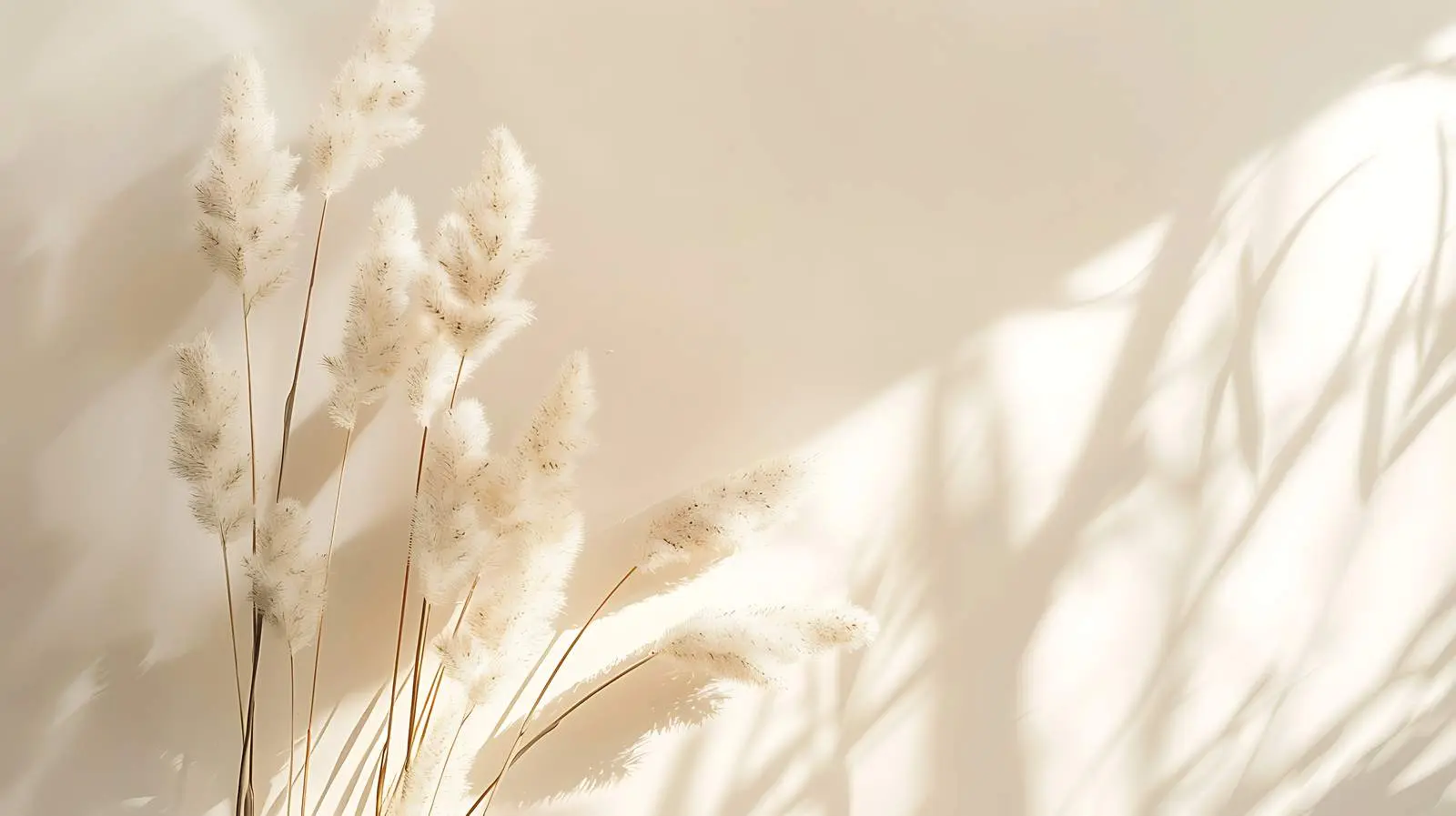 Fluffy Bunny Tail Grass in Warm Tan and White – free animal image from Dotvec
