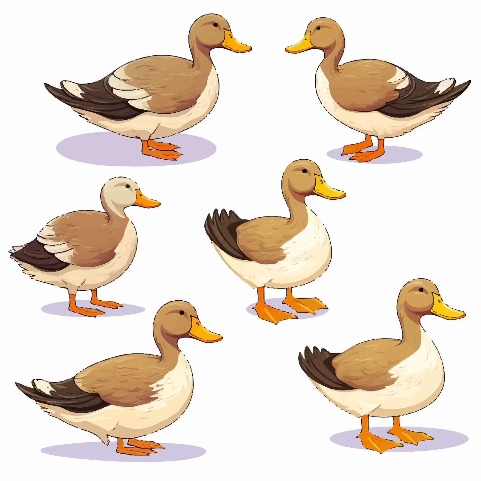 Isolated Duck Vector Illustration on White Background – free beak image from Dotvec
