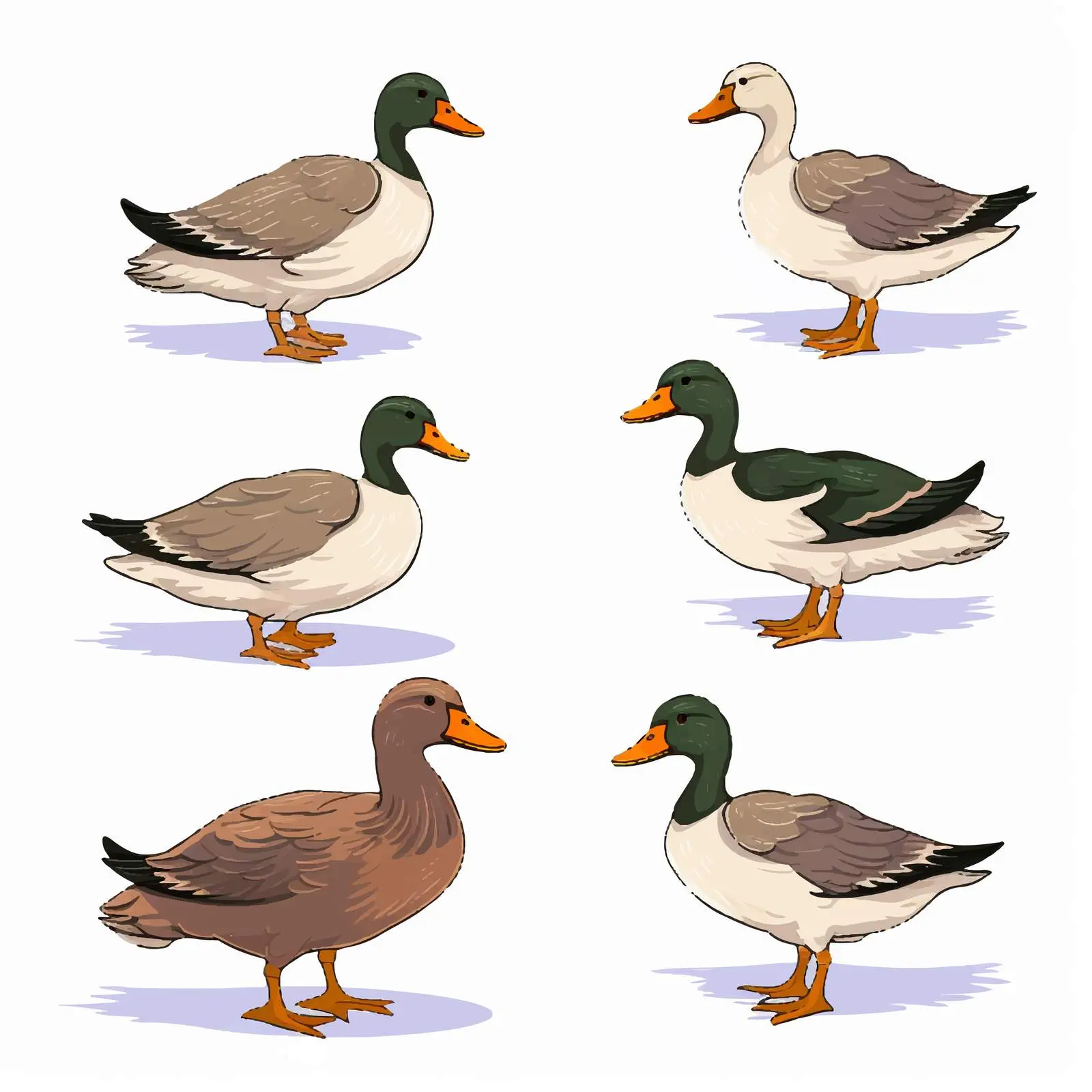 Line Art Duck Illustration on White Background — free download from Dotvec