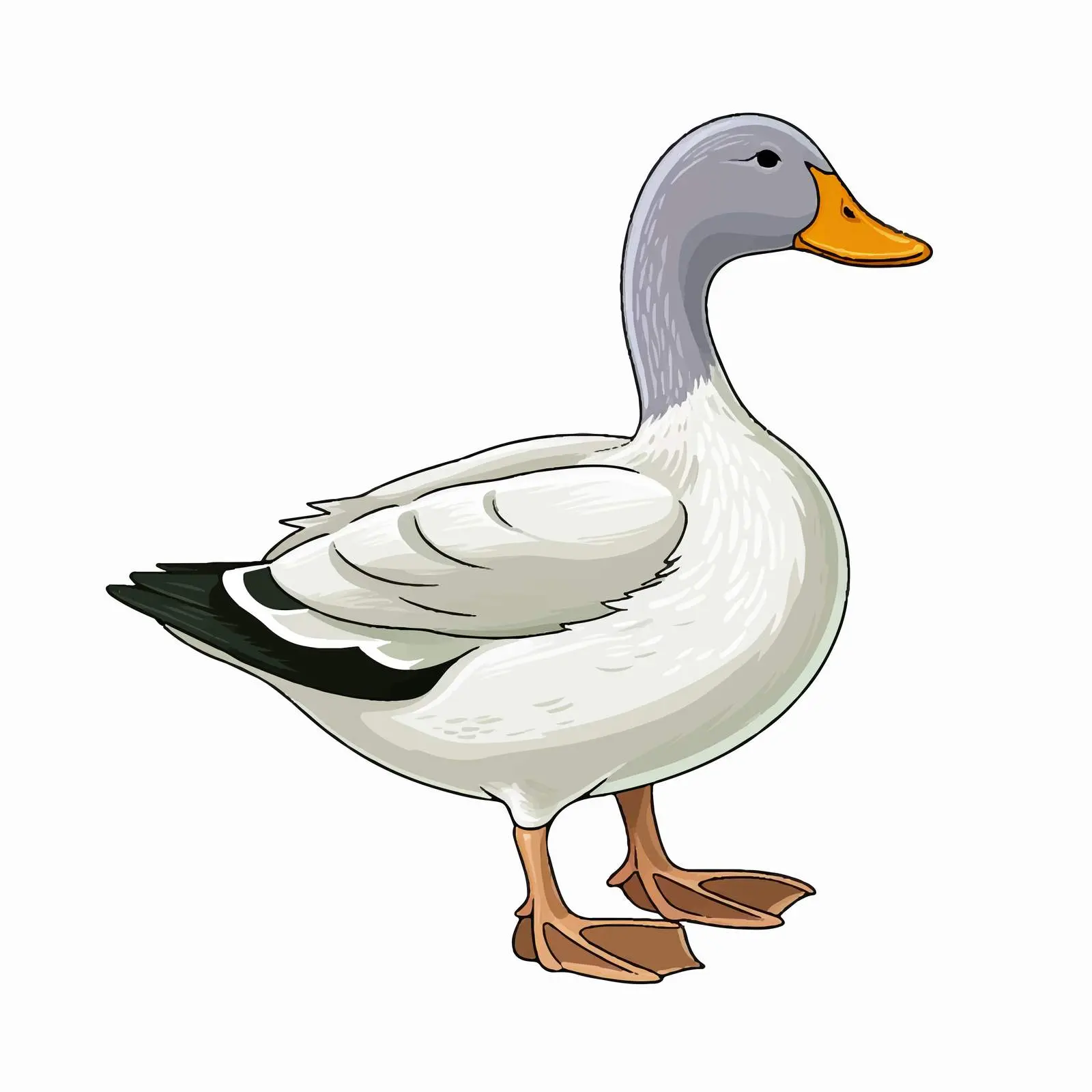 Duck Outline Vector Illustration on White Background — free download from Dotvec