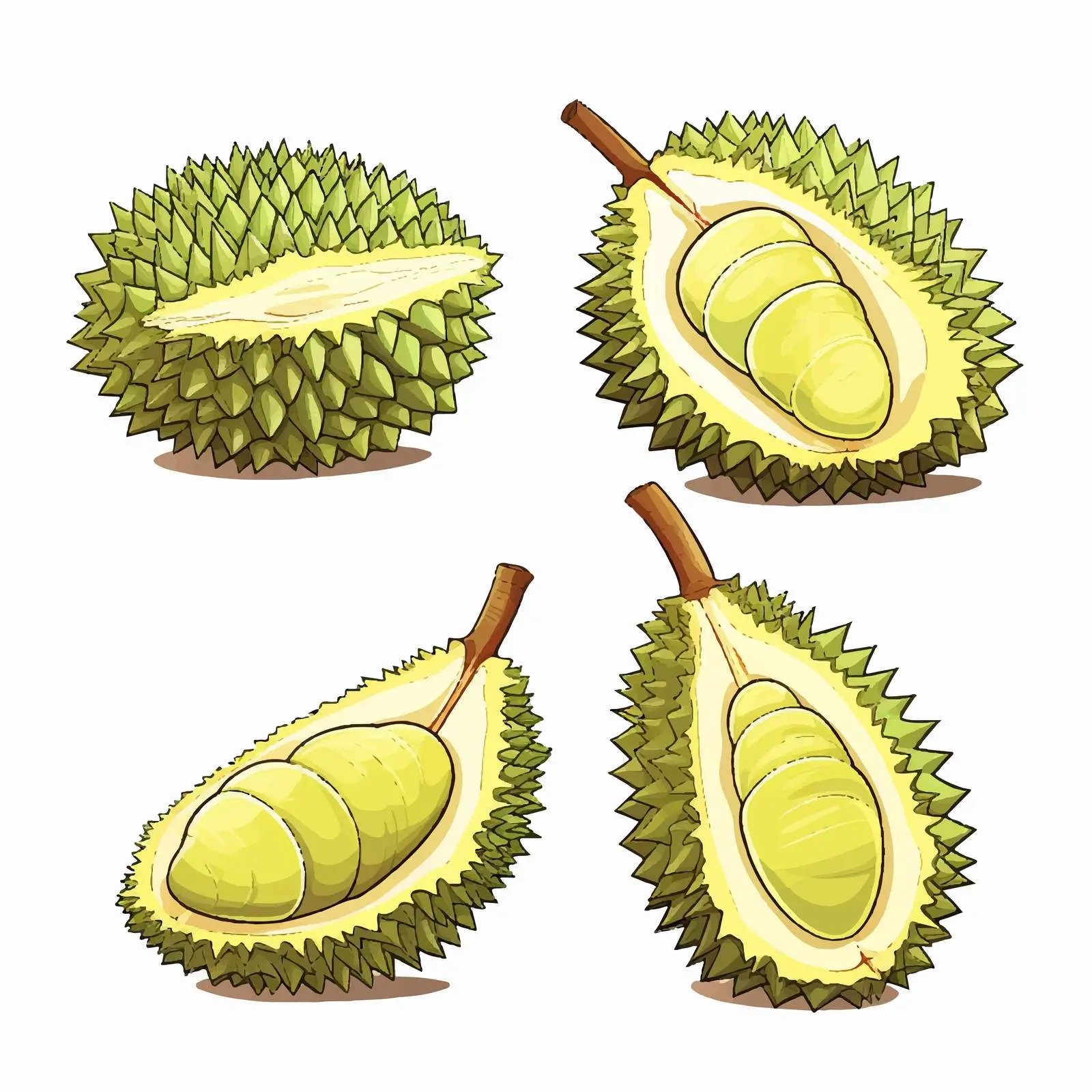 Durian Fruit Line Vector Illustration on White Background — free download from Dotvec