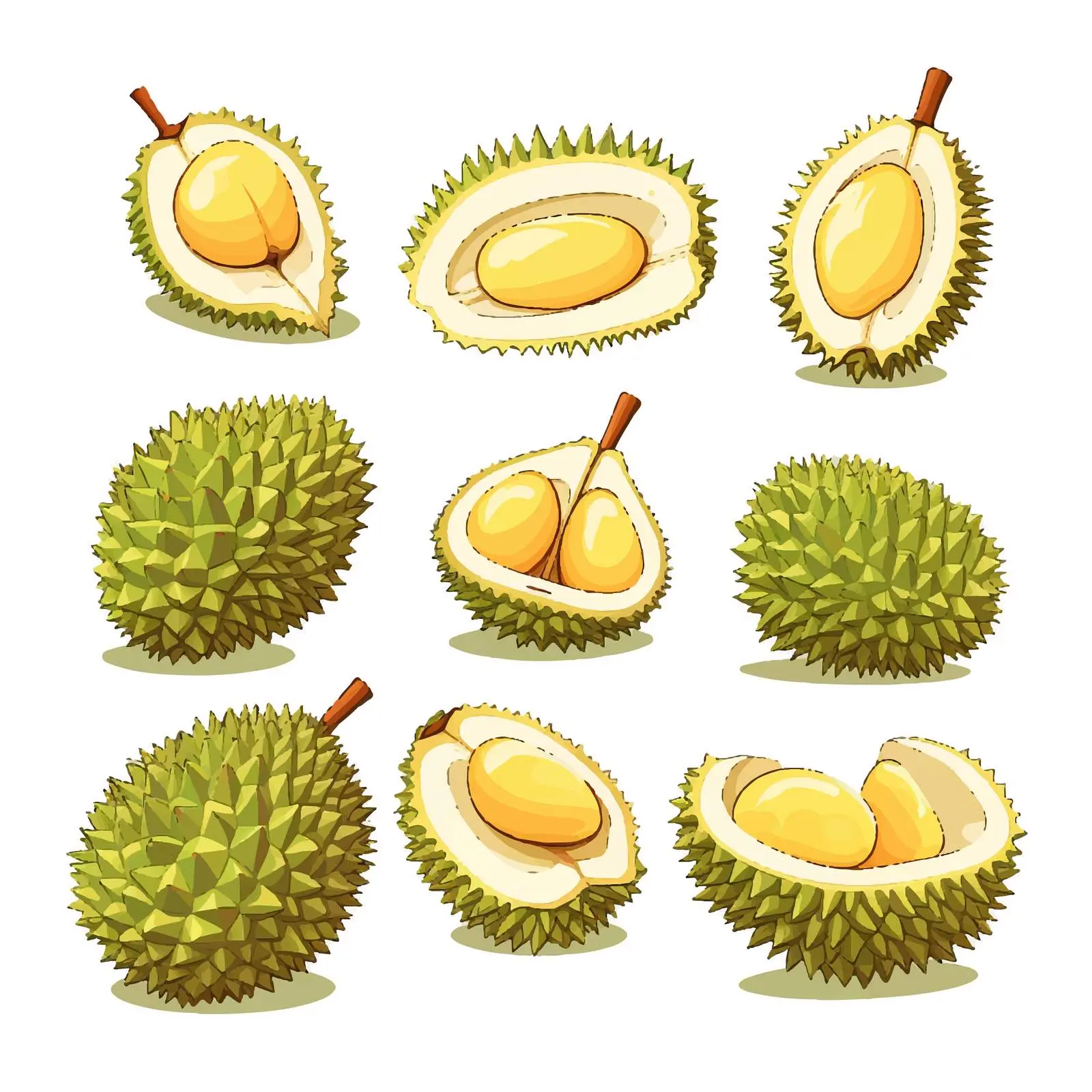 Durian Fruit Line Vector Illustration on White Background — free download from Dotvec