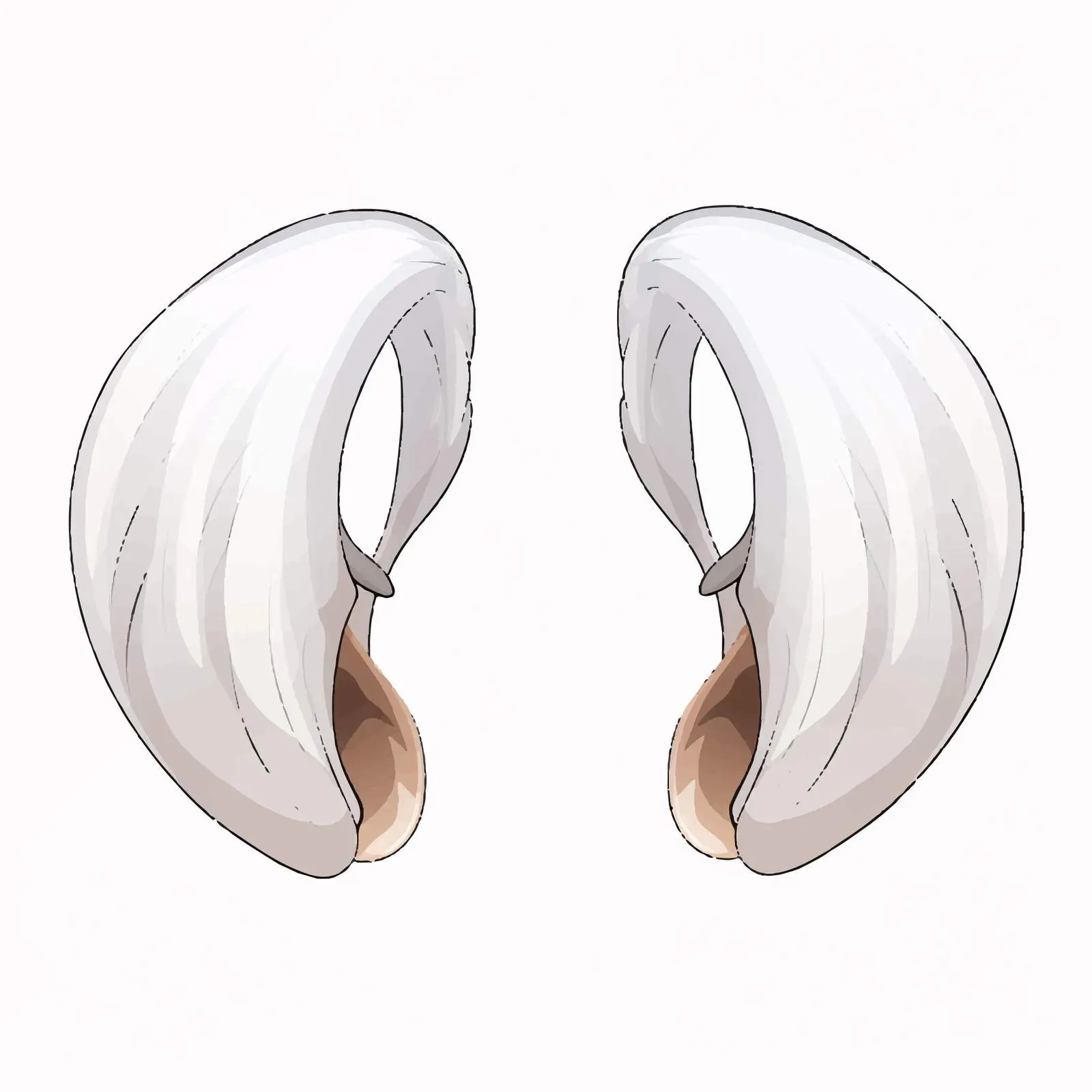 Ear Vector Illustration Top View on White Background — free download from Dotvec
