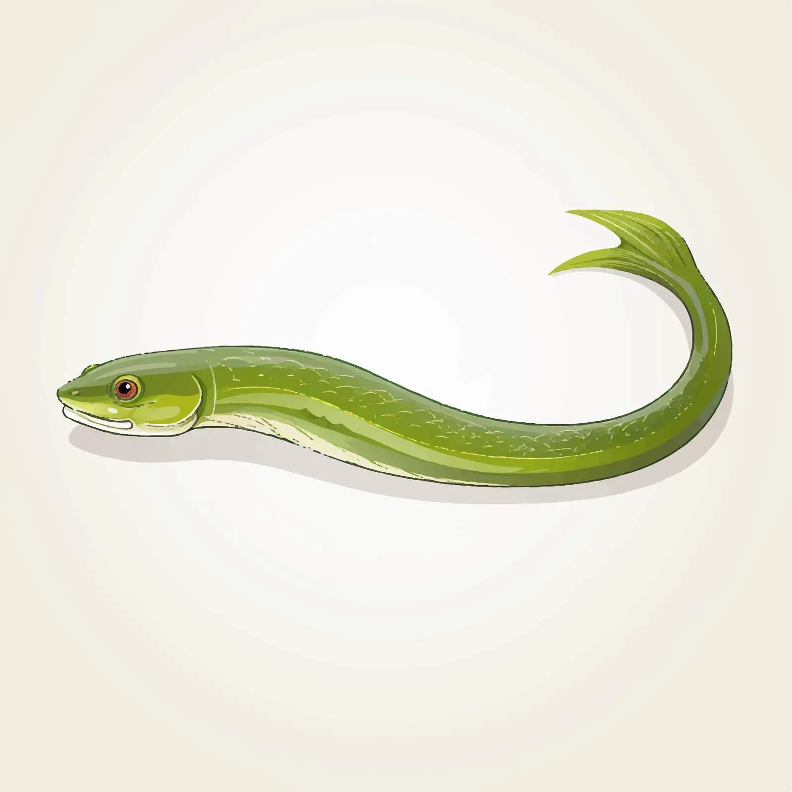 Eel Line Vector Illustration on White Background — free download from Dotvec