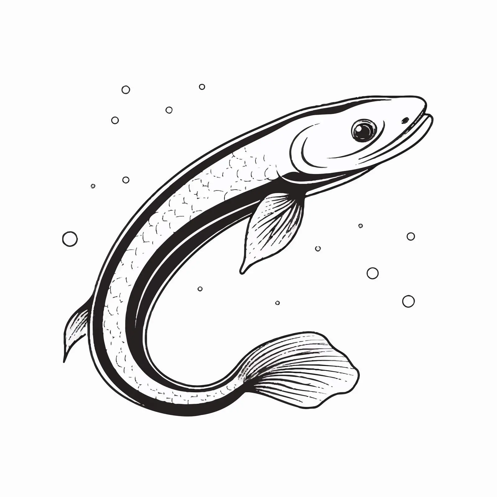 Eel Outline Vector Illustration on White Background — free download from Dotvec