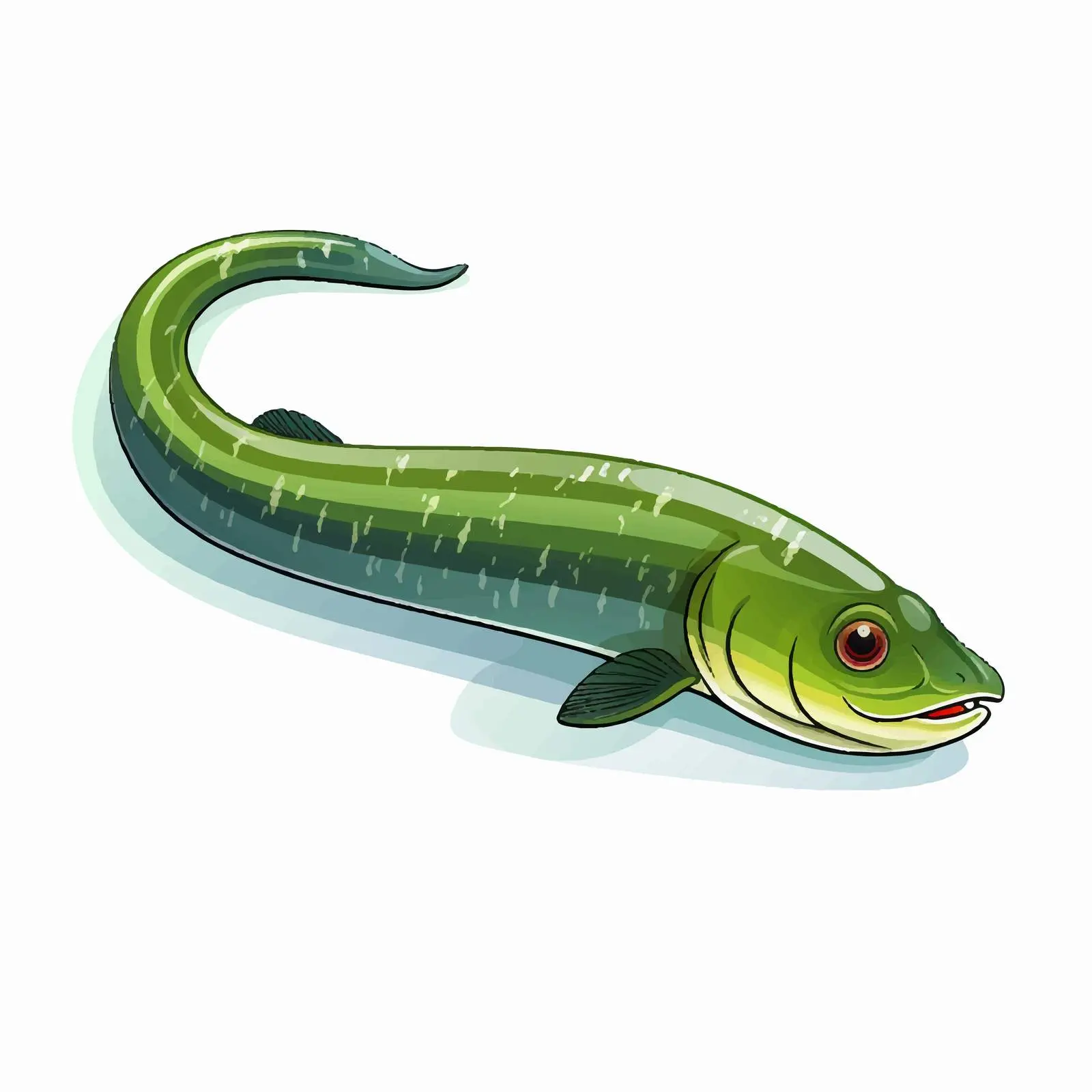 Top View Eel Vector Illustration on White Background — free download from Dotvec