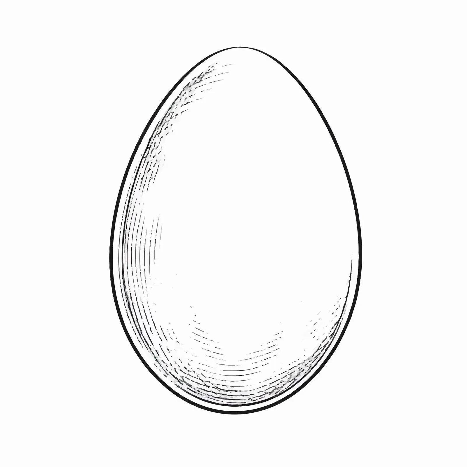 Egg Outline Vector Illustration on White Background — free download from Dotvec