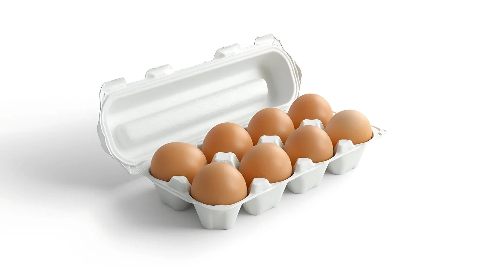 Egg Packaging on White Background — free download from Dotvec