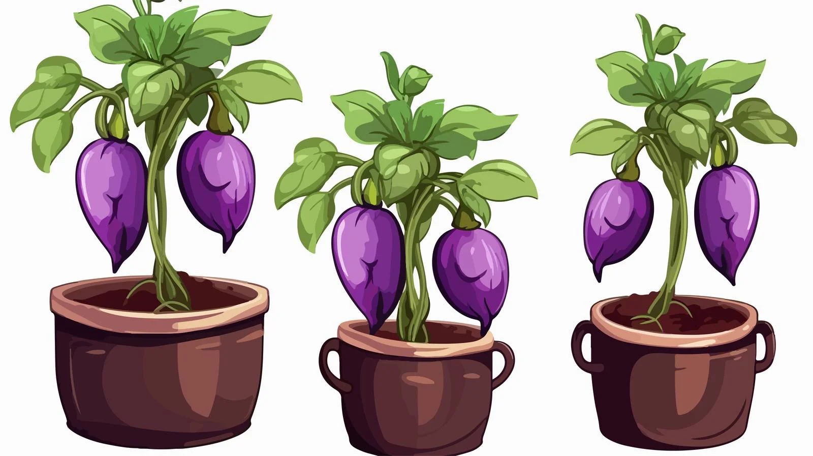 Eggplant Cooking Scene — free download from Dotvec