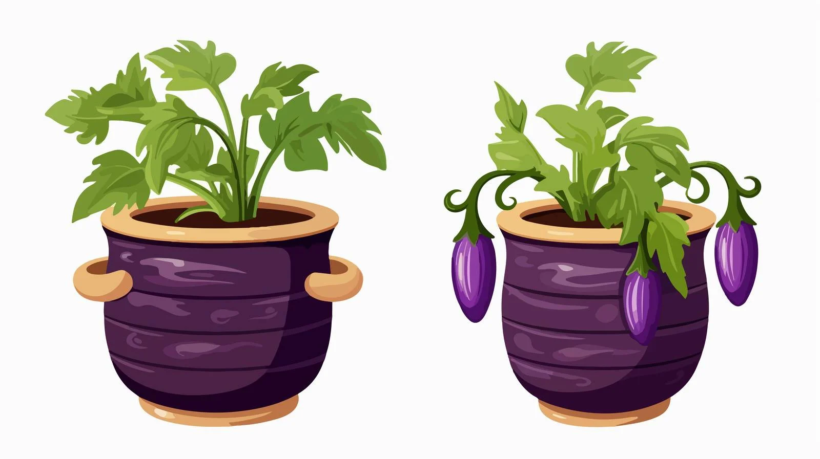 Cooked Eggplant in Quality Pot — free download from Dotvec