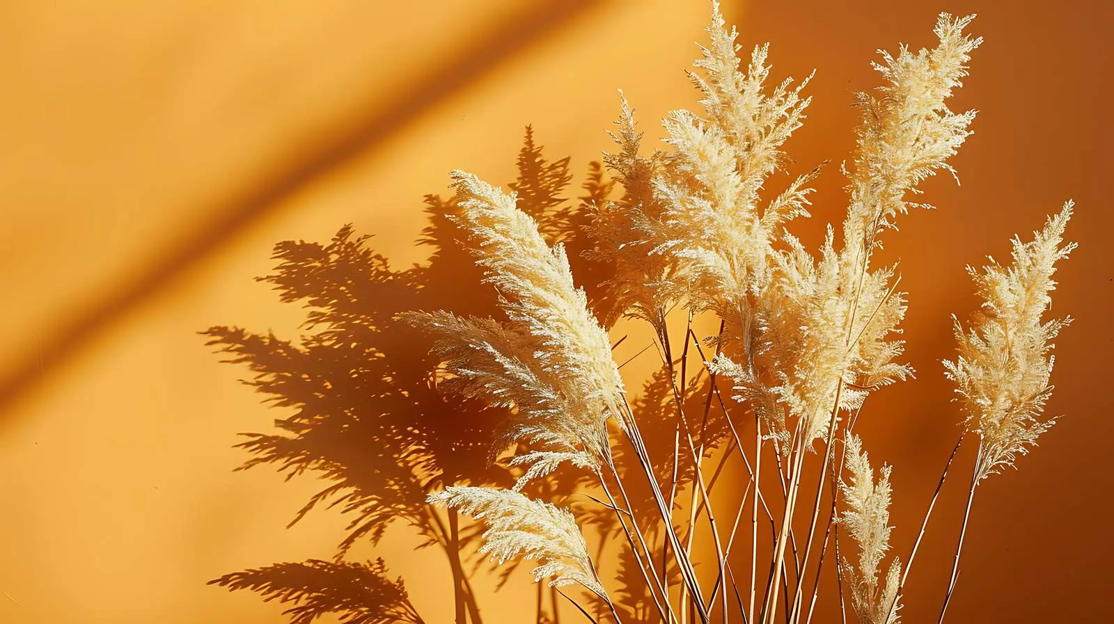 Dried Grass With Sunlight and Shadows – free warm colors image from Dotvec