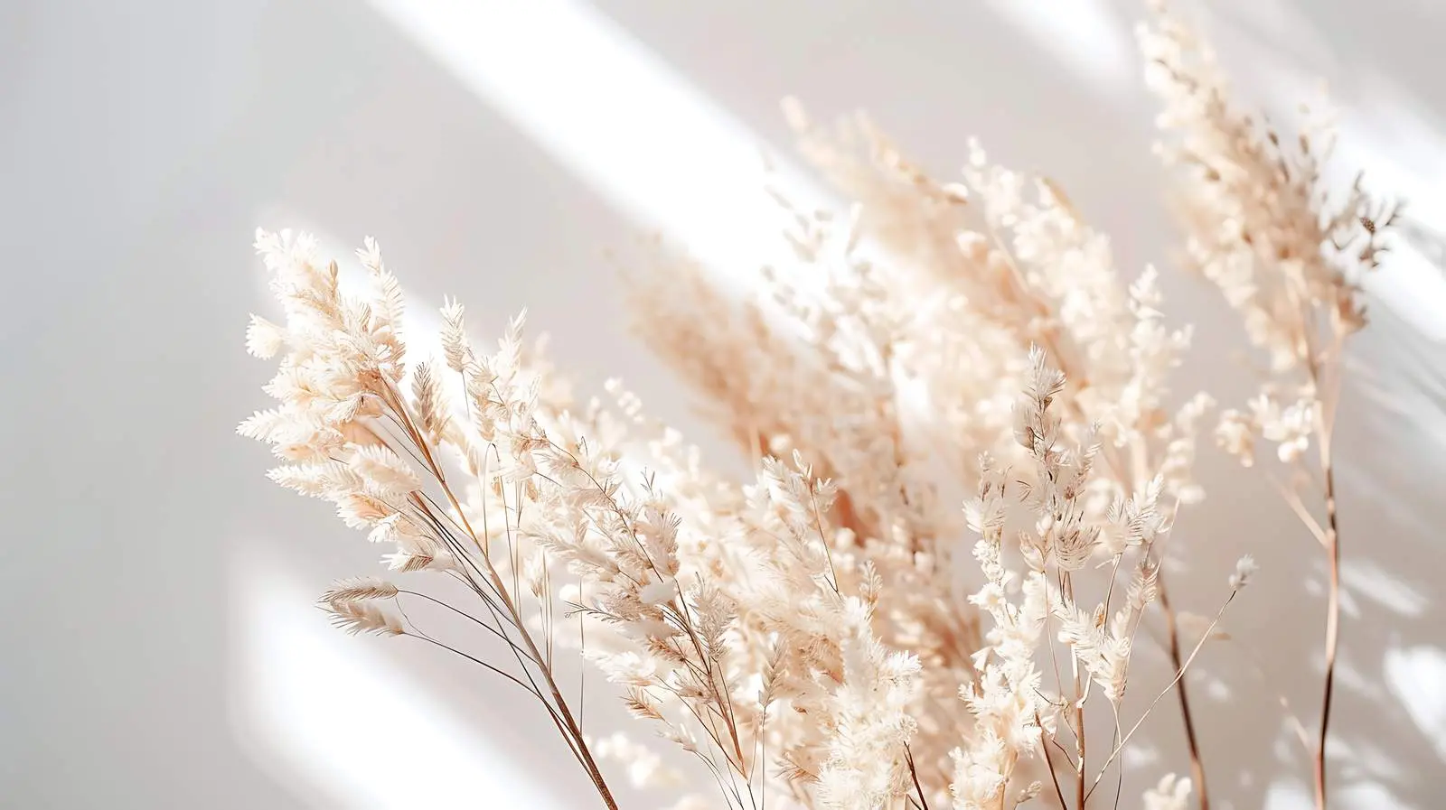 Elegant Dried Grass with Sunlight Shadows — free download from Dotvec