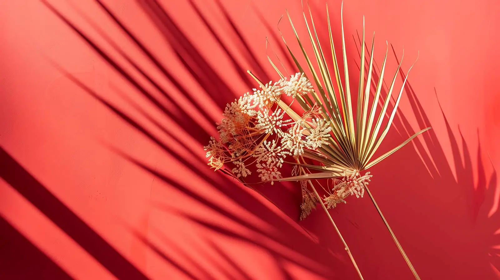 Elegant Dried Palm Leaf with Sunlight Shadows — free download from Dotvec