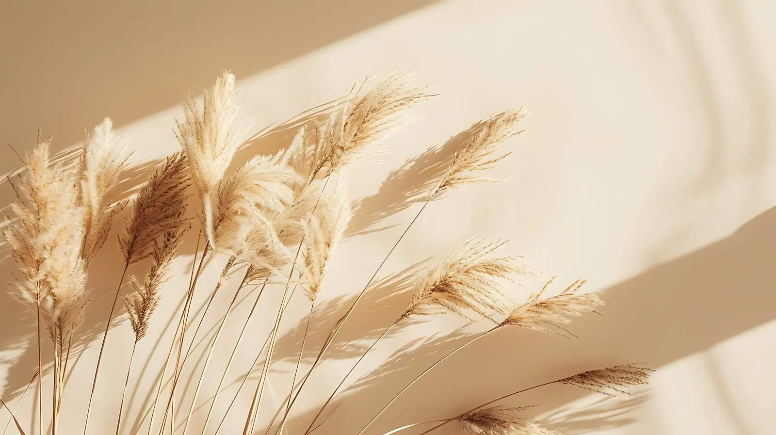 Elegant Dried Rabbit Tail Grass and Pampas Stems — free download from Dotvec