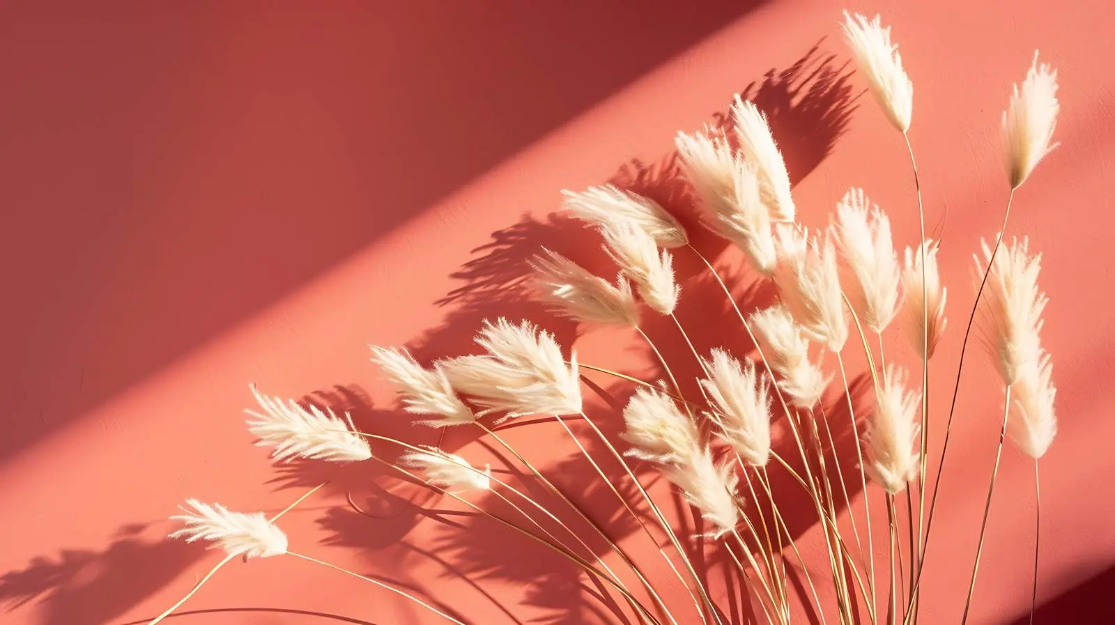 Sunlit Dried Rabbit Tail Grass Arrangement – free dried grass image from Dotvec