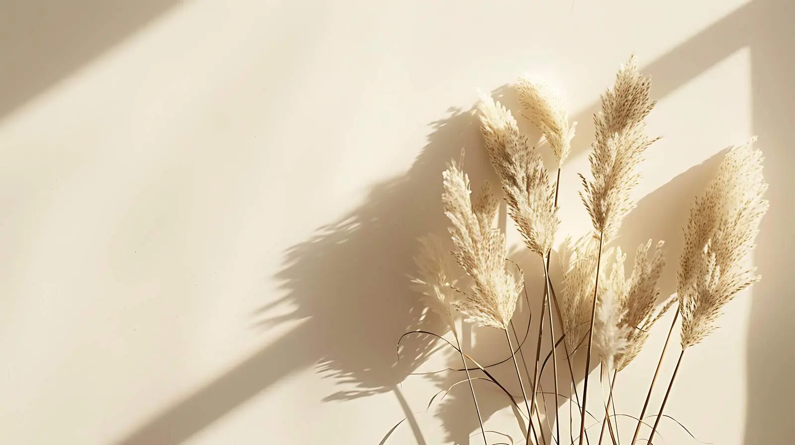 Dried Rabbit Tail Grass in Sunlight — free download from Dotvec