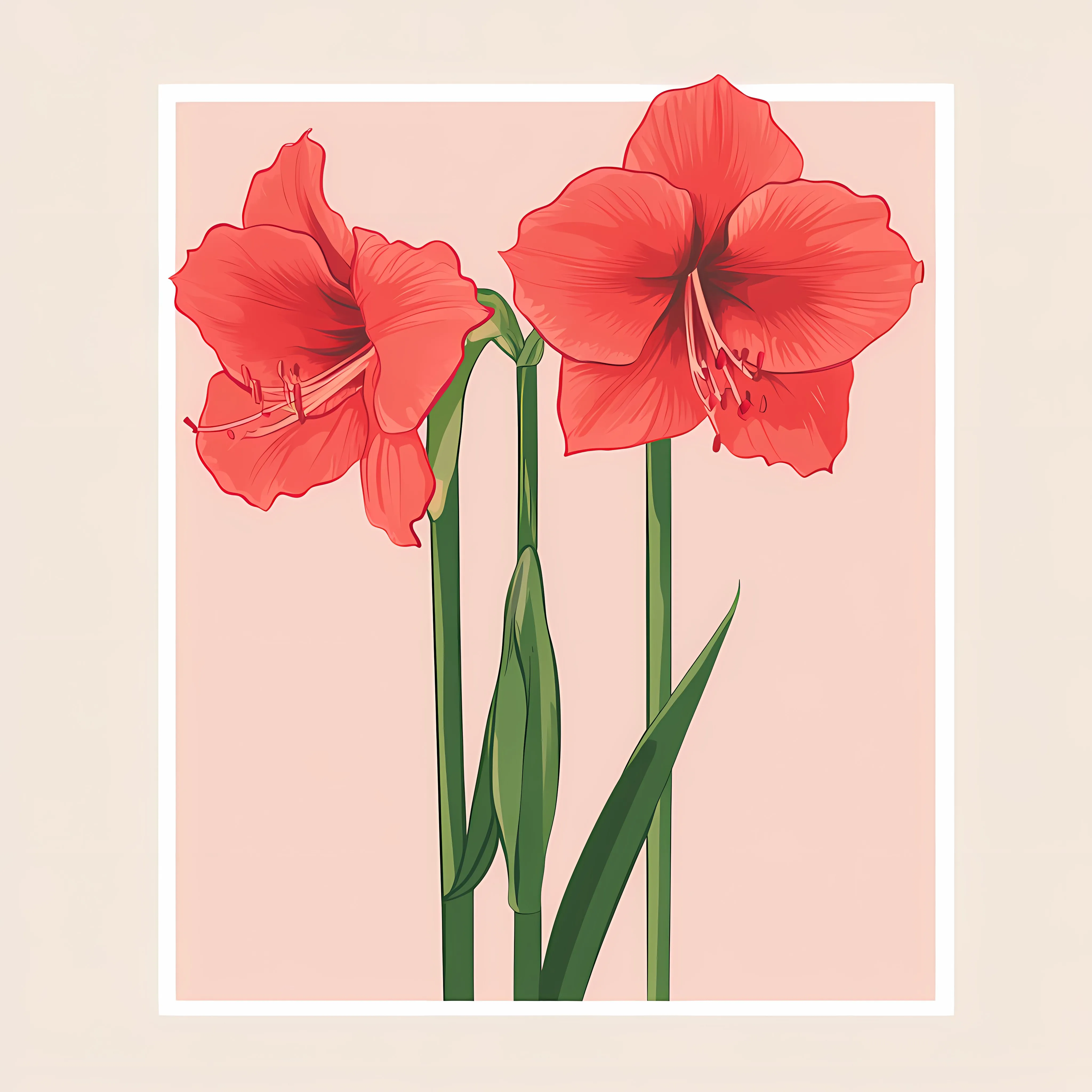 Elegant Hand Drawn Amaryllis Flower Illustration — free download from Dotvec