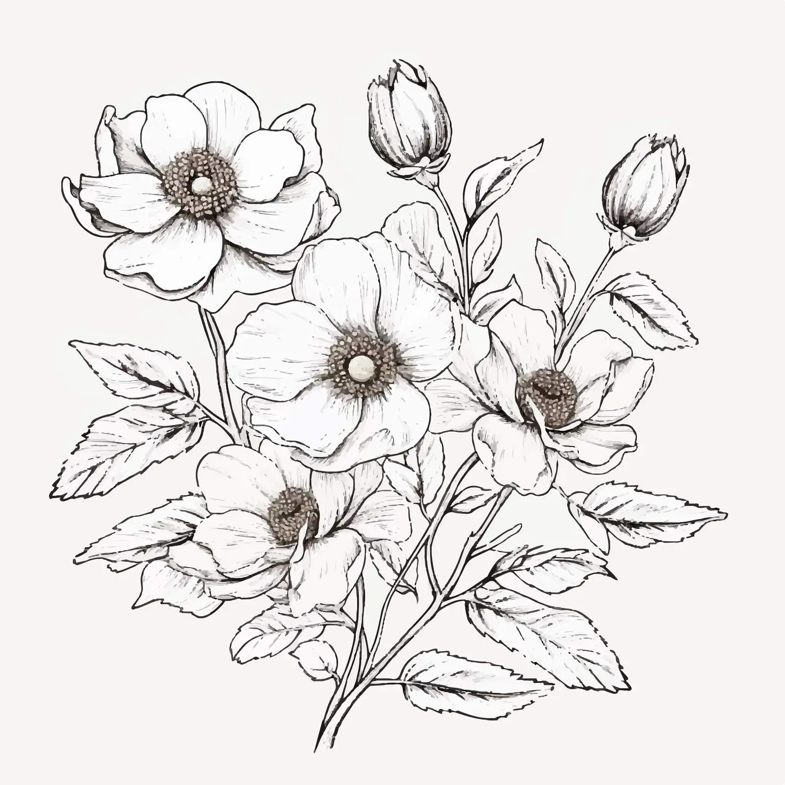 Elegant Botanical Drawing of Dog and Roses — free download from Dotvec