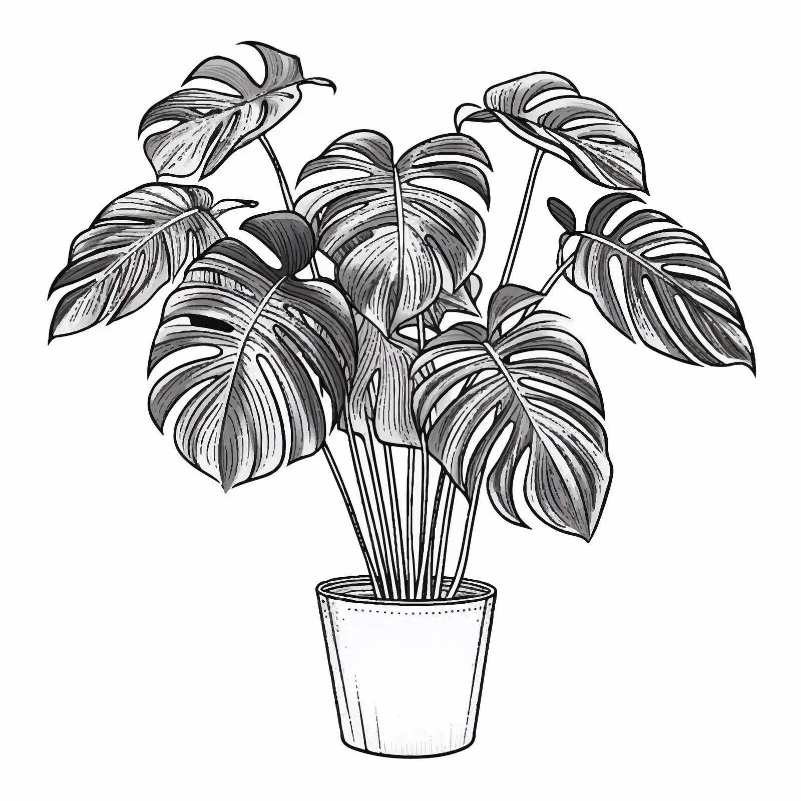 Elegant Monstera Plant Drawing in Pot — free download from Dotvec
