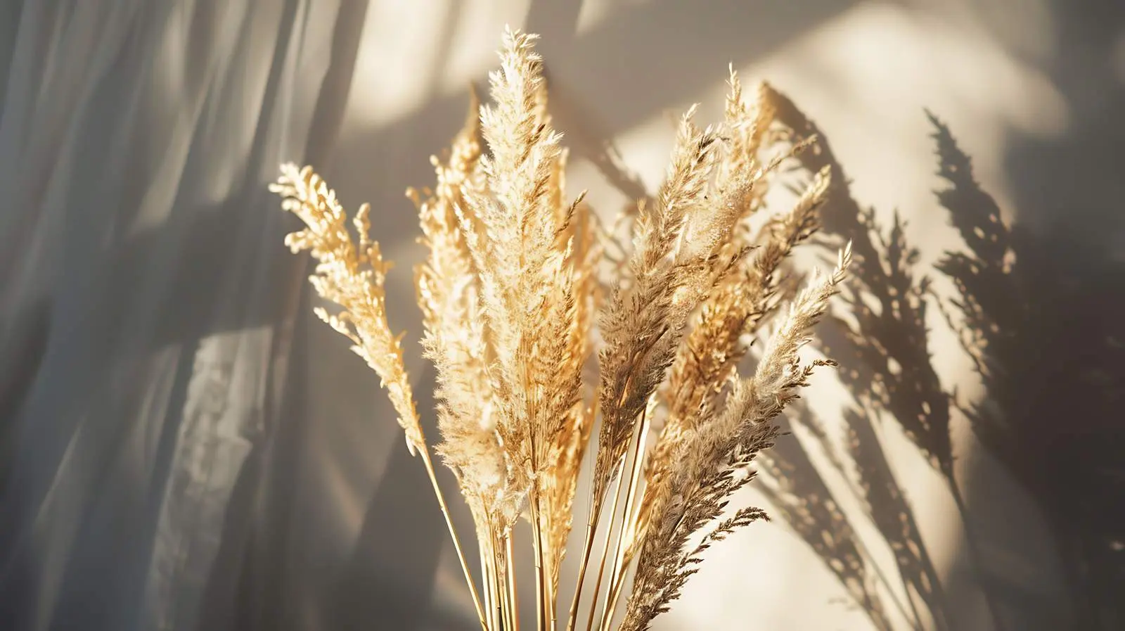 Elegant Dried Grass Bouquet in Soft Sunlight — free download from Dotvec