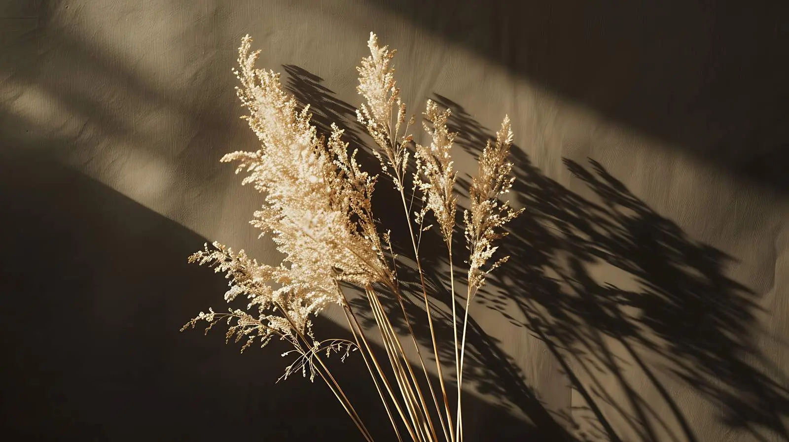Elegant Dried Grass Bouquet with Soft Sunlight — free download from Dotvec